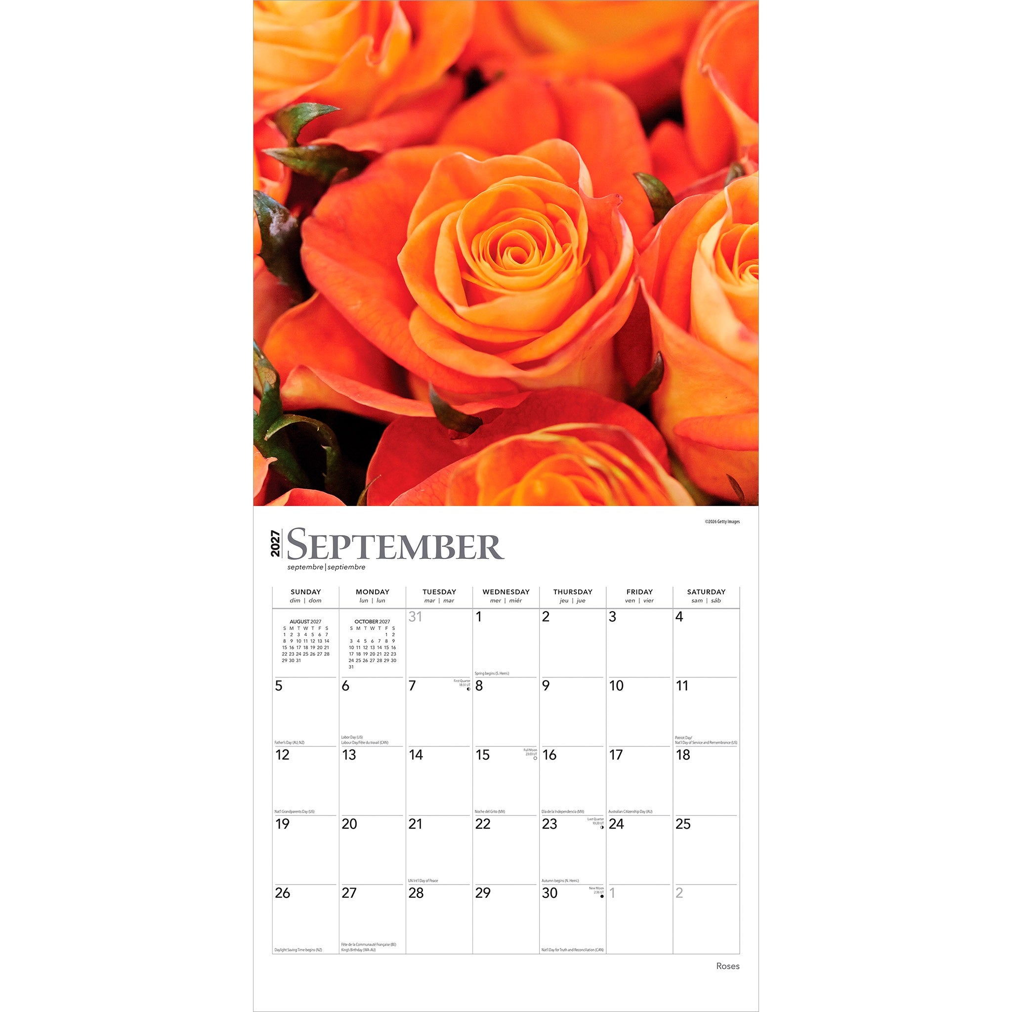 Roses 2027 Wall Calendar - Online Only