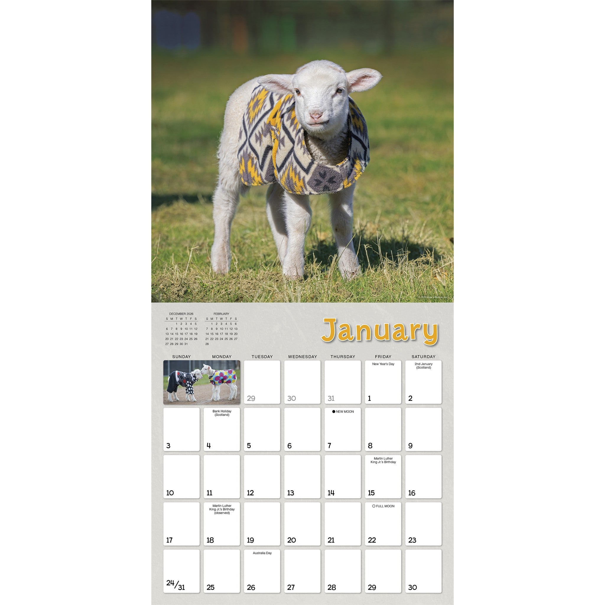 Lambies in Jammies & Goats in Coats 2027 Wall Calendar