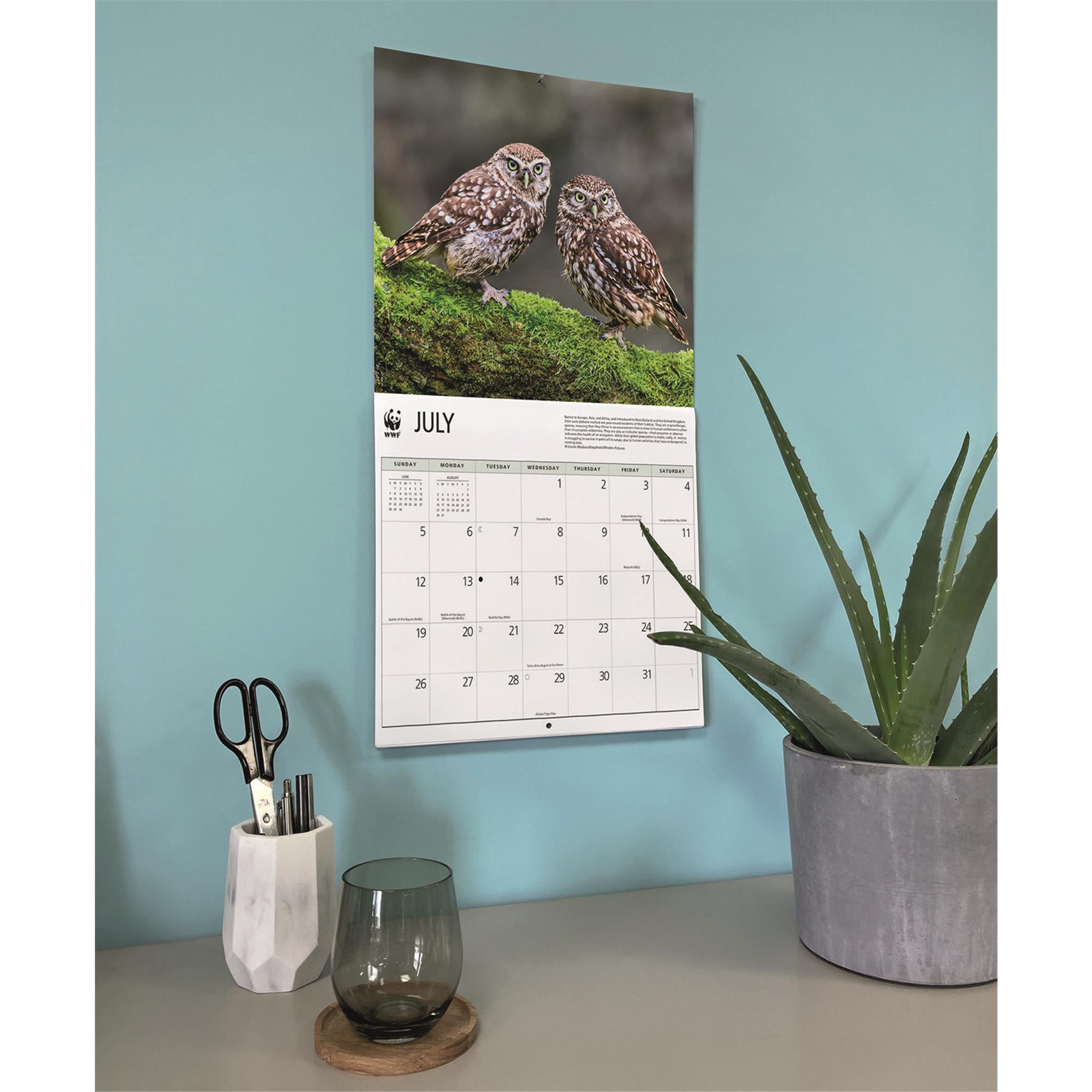 World Wildlife Fund Owls 2026 Wall Calendar