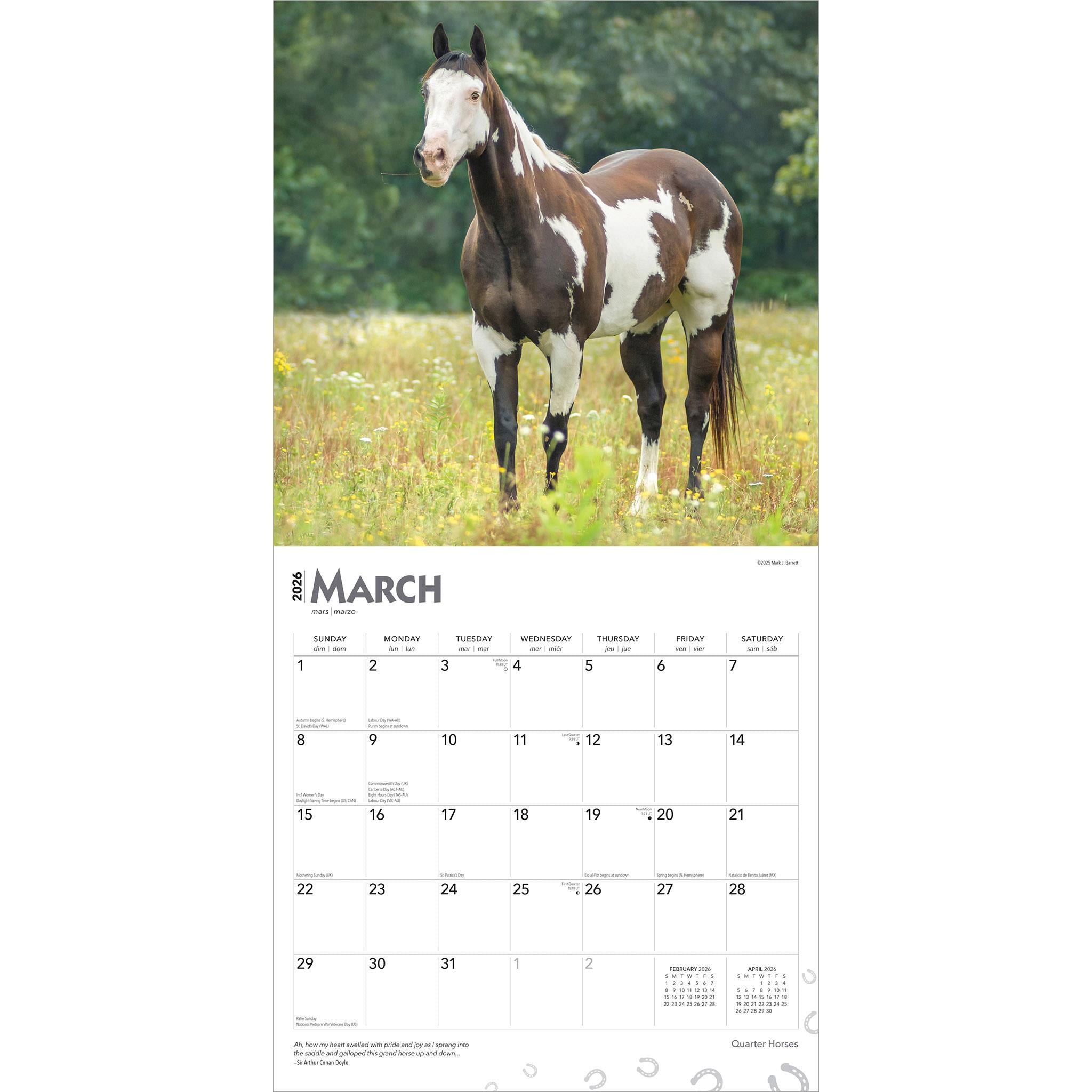 Calendrier mural Quarter Horses 2026 - Disponible uniquement en ligne