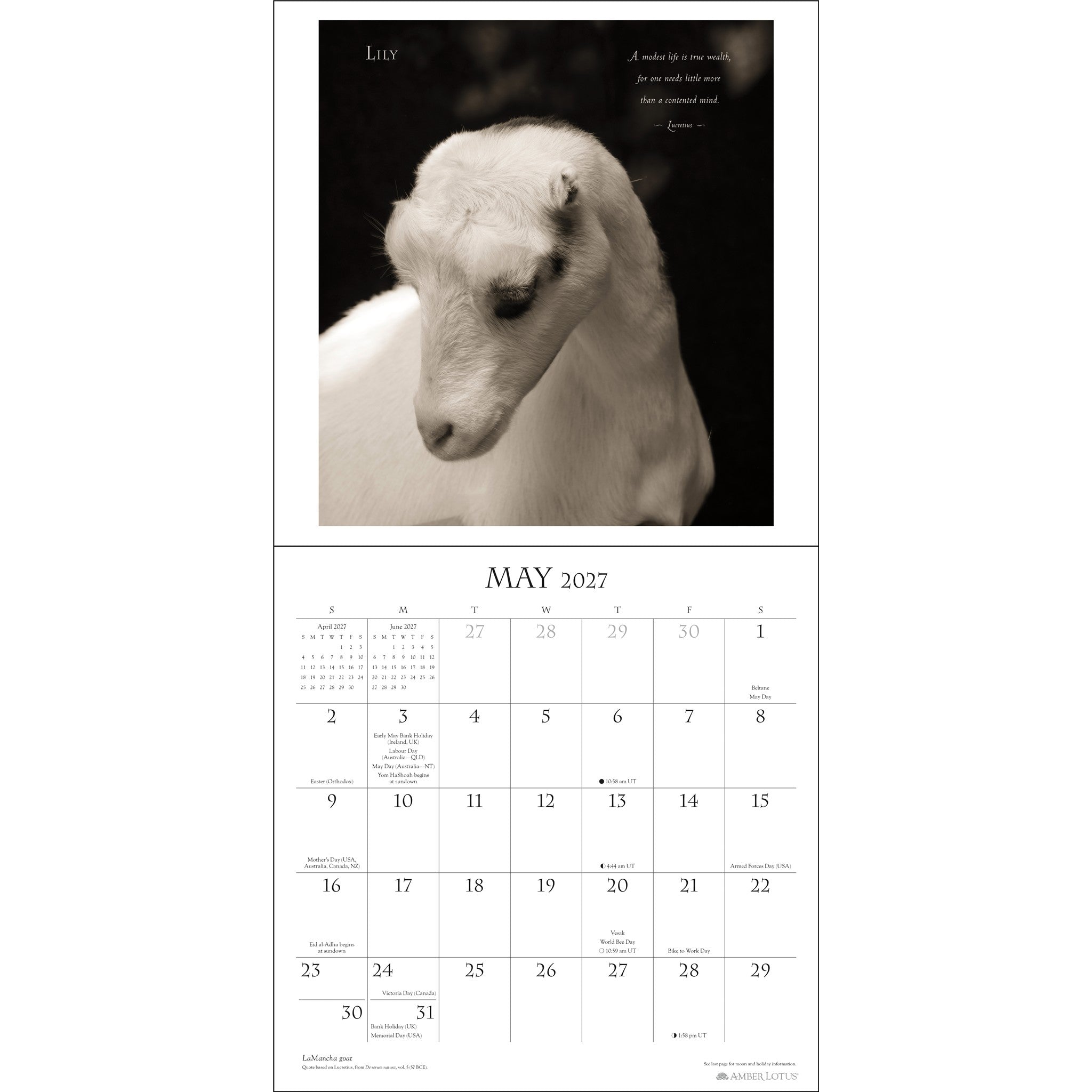 Calendrier mural I Am Goat 2027