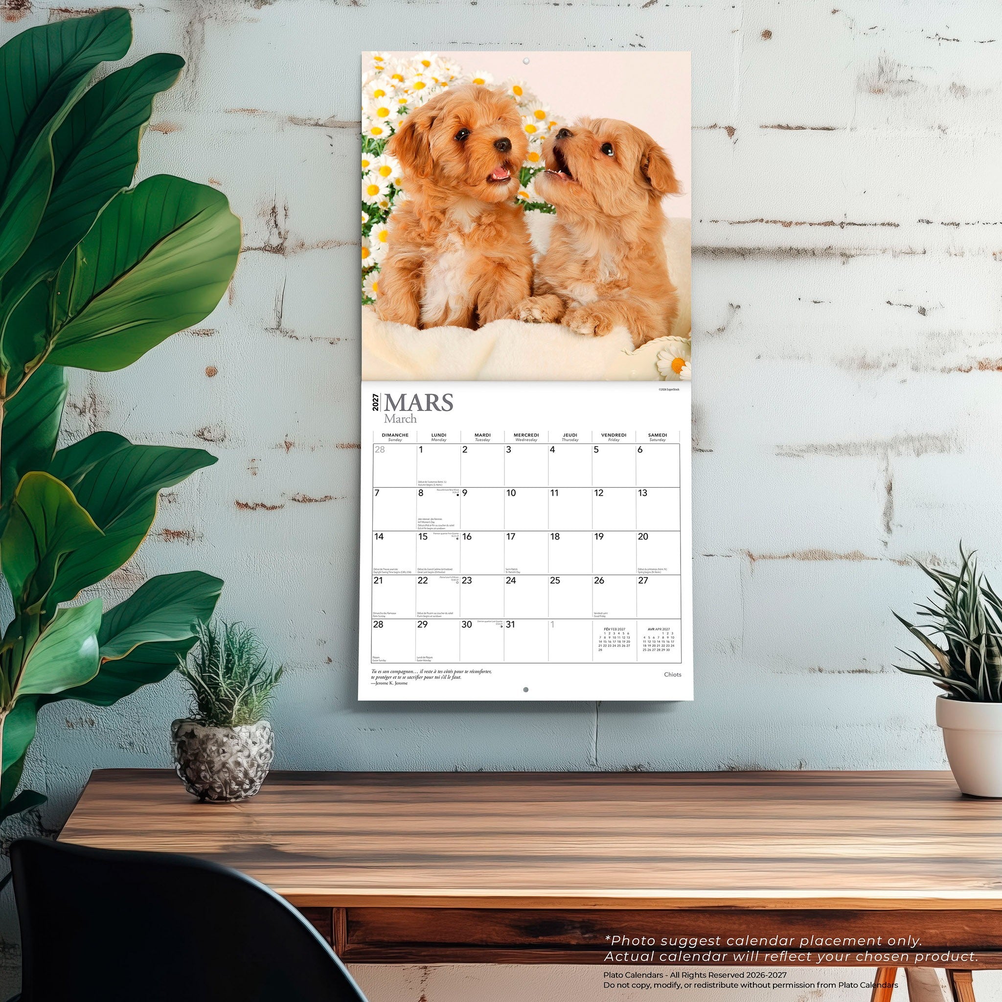Chiots 2027 Wall Calendar (French)
