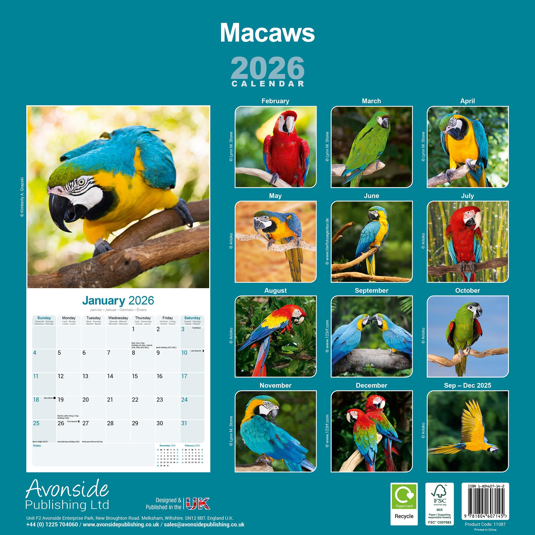 Calendrier mural Macaws 2026