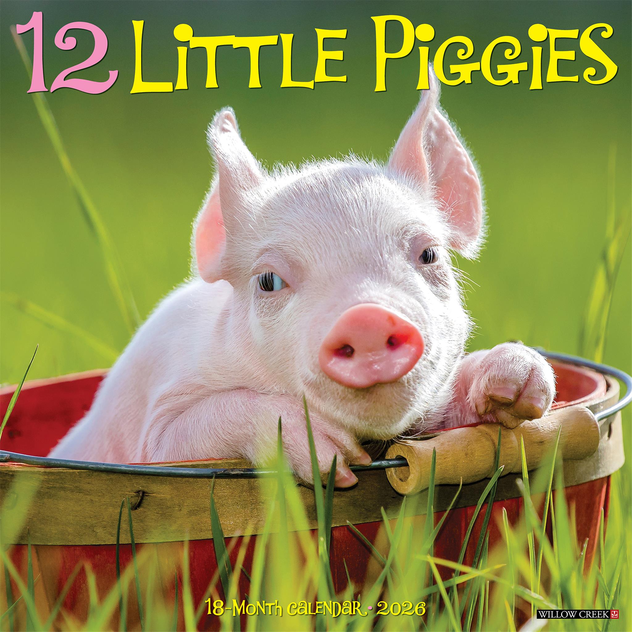Calendrier mural 2026 des 12 Petits Cochons - Disponible uniquement en ligne