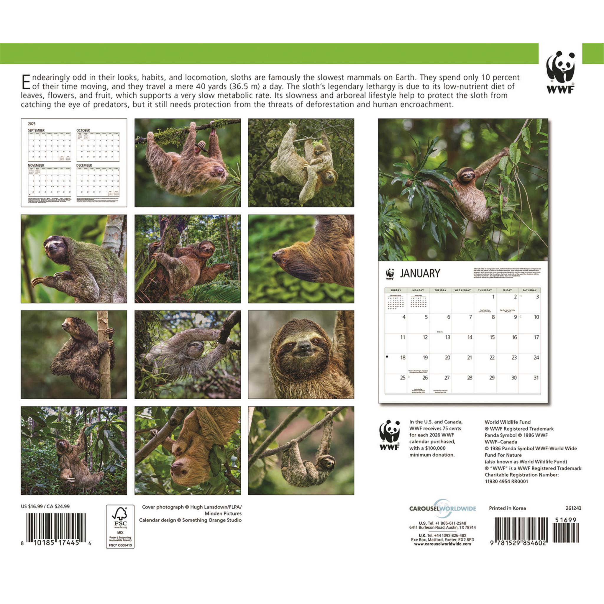 Calendrier mural 2026 du Fonds mondial pour la nature (WWF) sur les paresseux