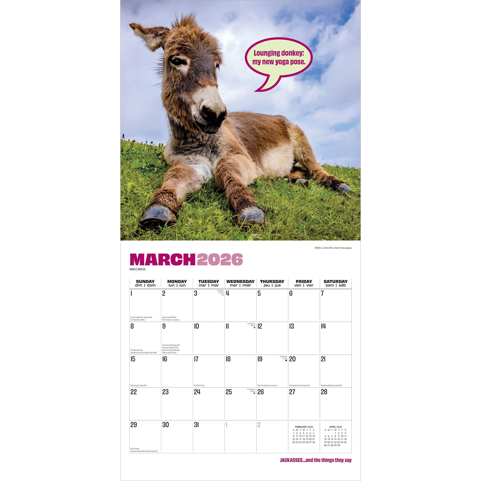 Jackasses 2026 Wall Calendar