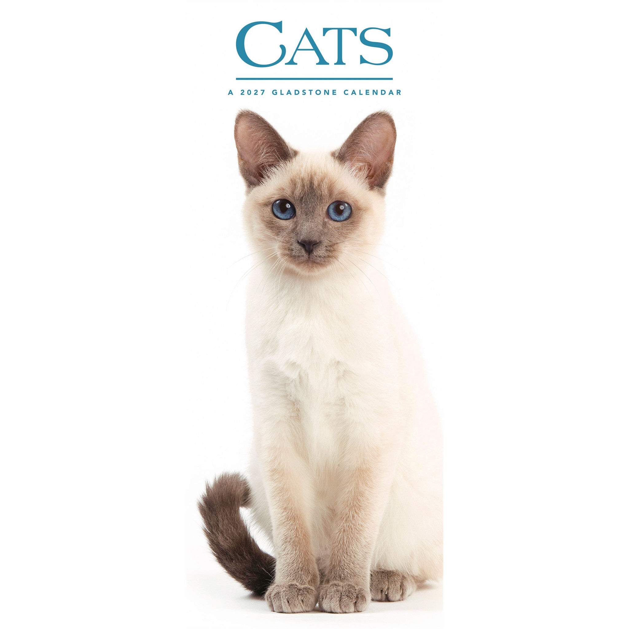 Cats 2027 Poster Calendar