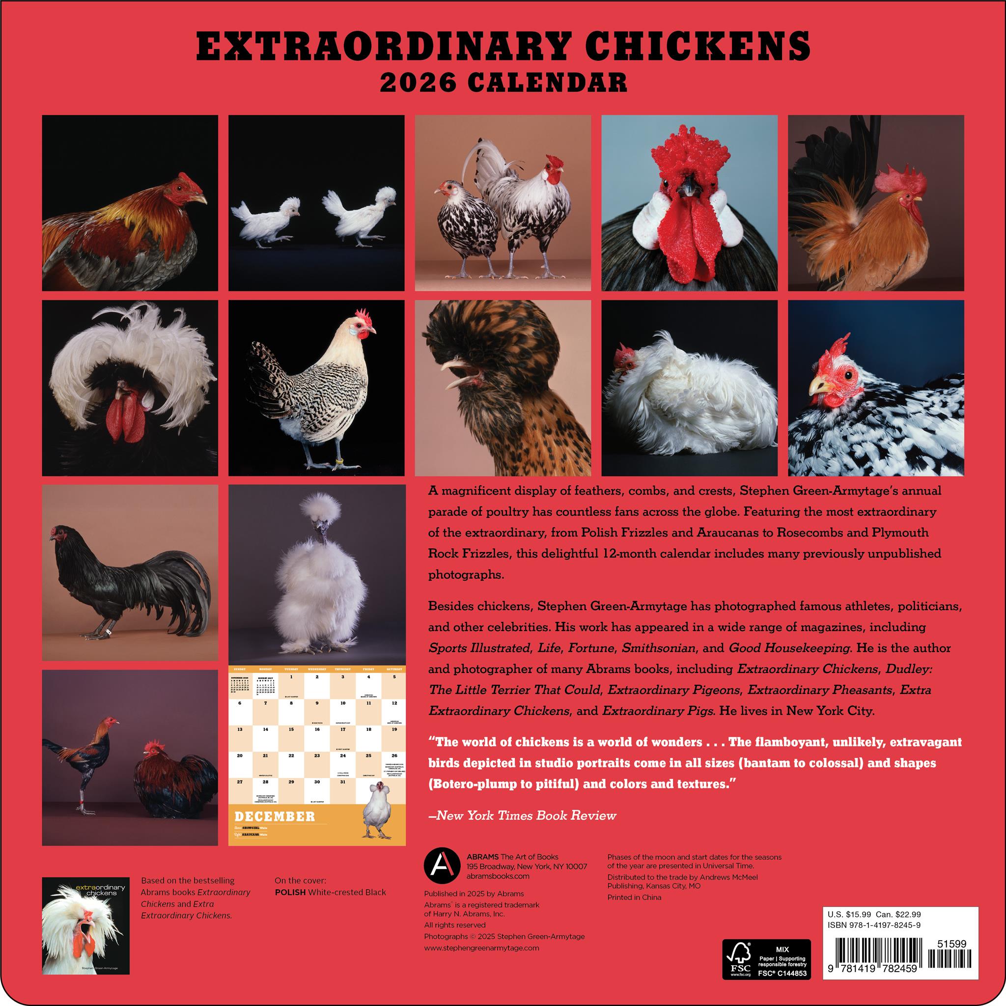 Calendrier mural des poulets extraordinaires 2026