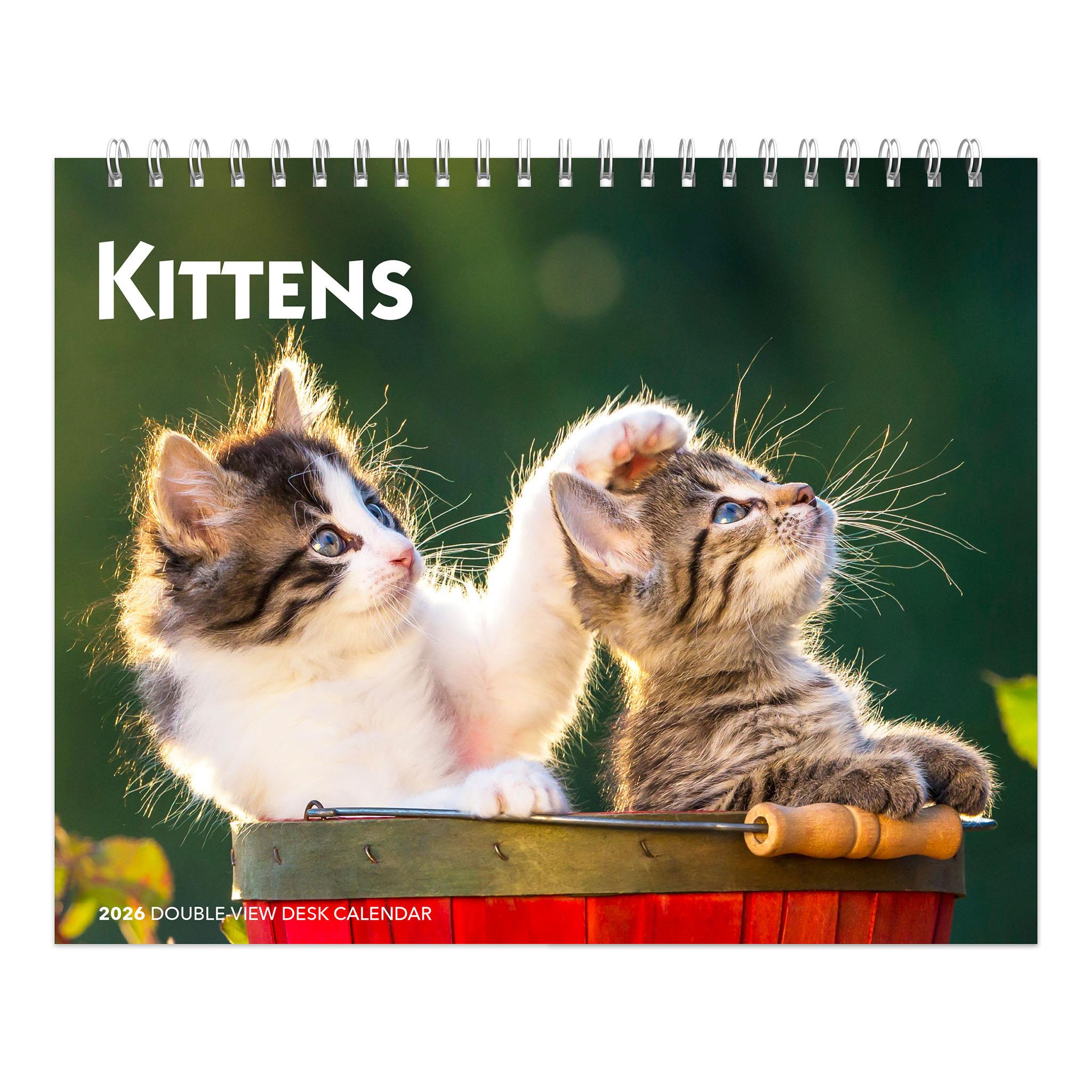 Calendrier chevalet double vue Chatons 2026