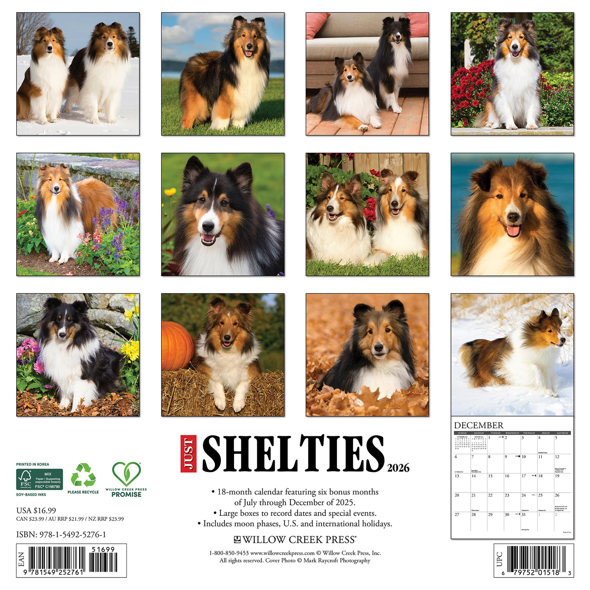 Calendrier mural Just Shelties 2026