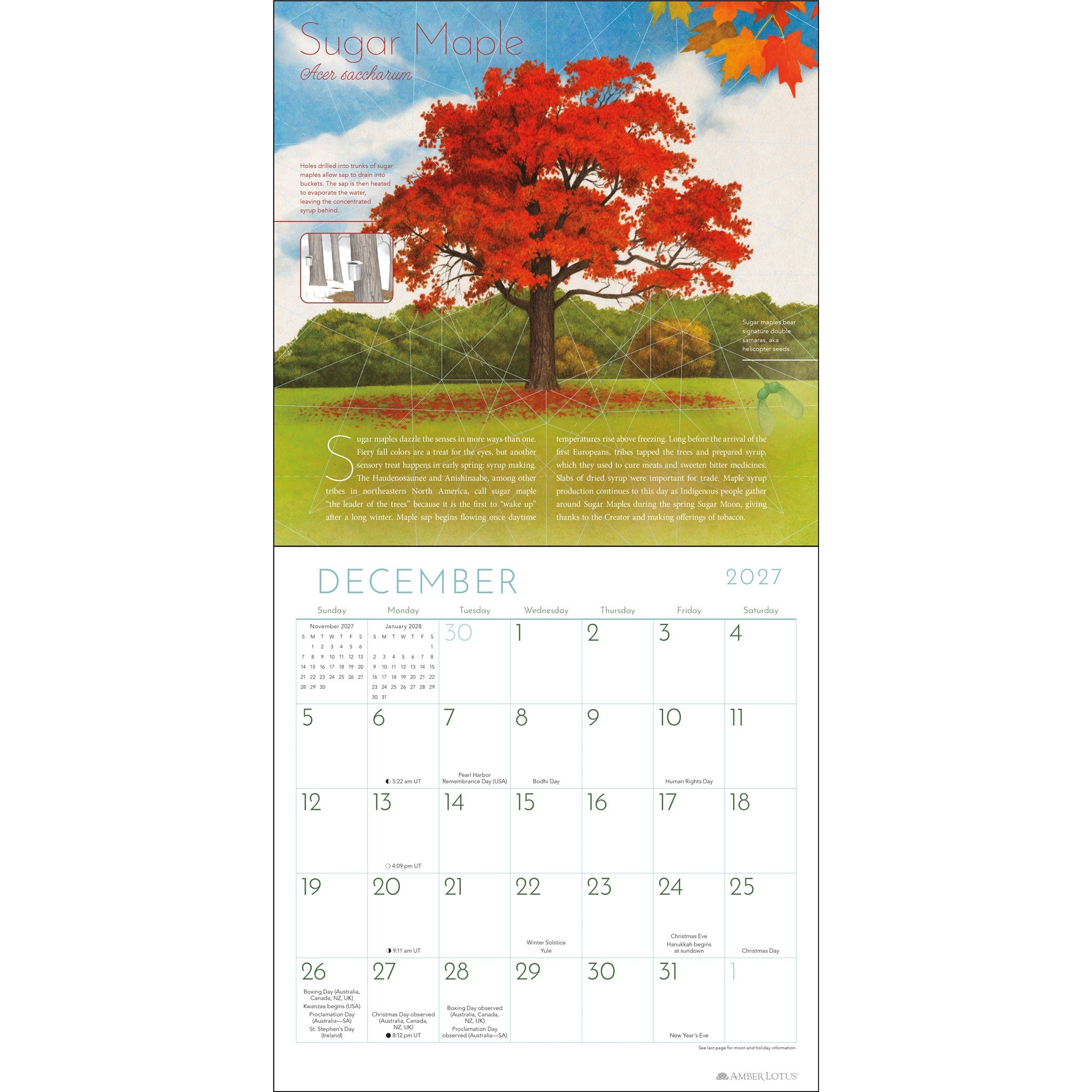 Trees of Life 2027 Wall Calendar - Online Only