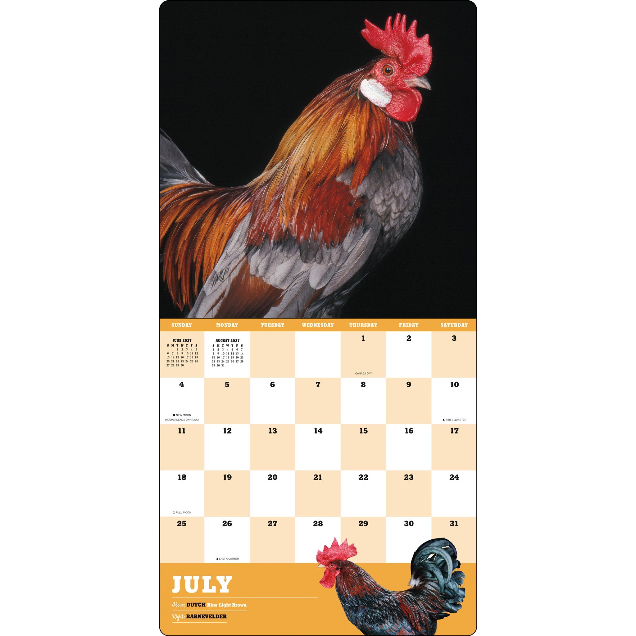 Extraordinary Chickens 2027 Wall Calendar