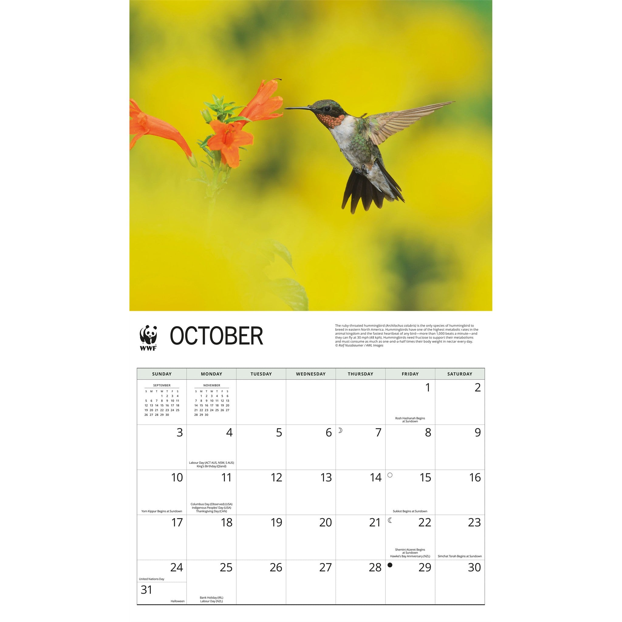 Calendrier mural 2027 Colibris du Fonds mondial pour la nature