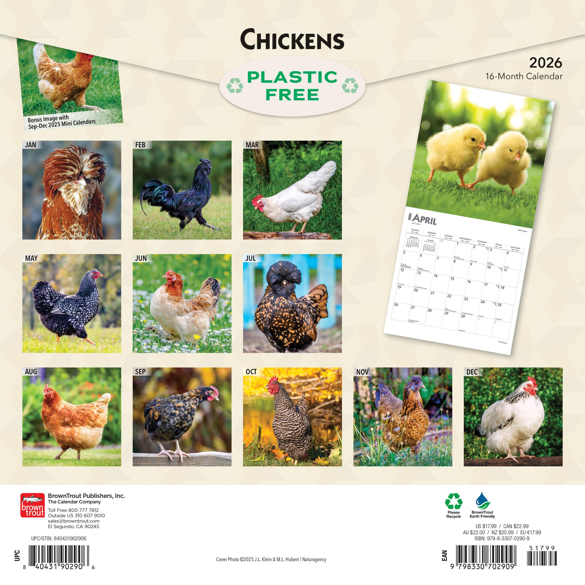 Calendrier mural Poules 2026 - Disponible uniquement en ligne