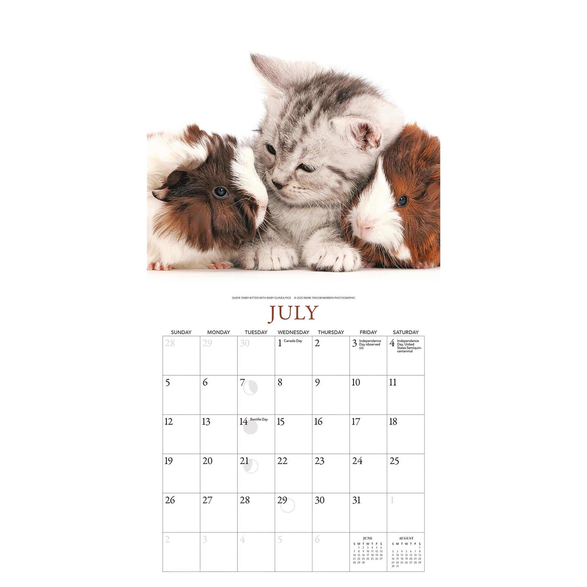 Kittens And Friends Mini 2026 Calendar
