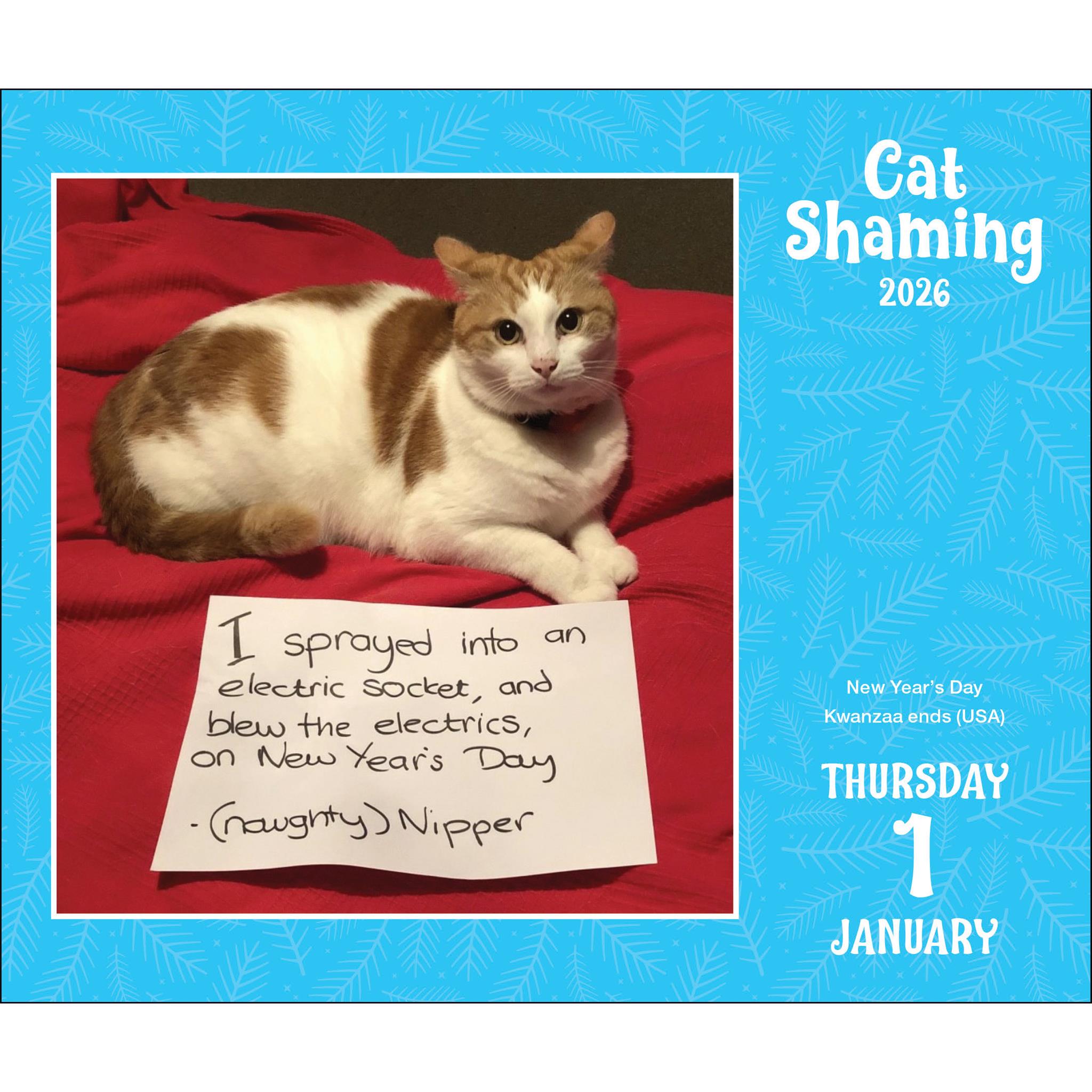 Calendrier de la boîte Cat Shaming 2026