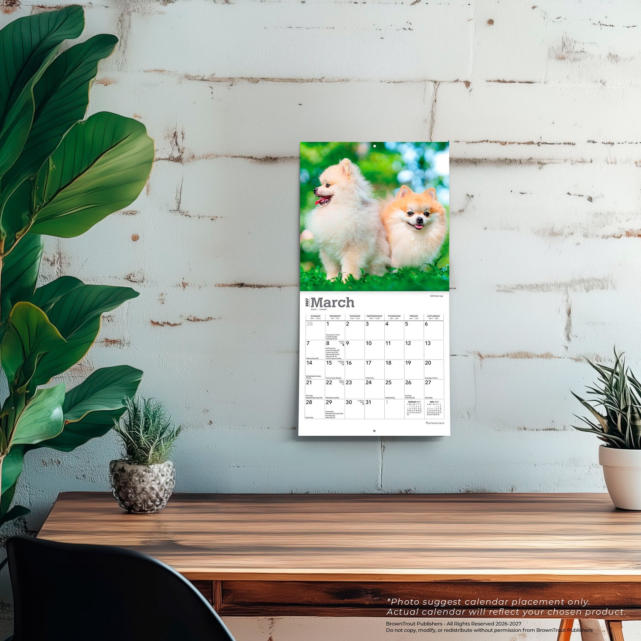 Pomeranians 2027 Mini Calendar