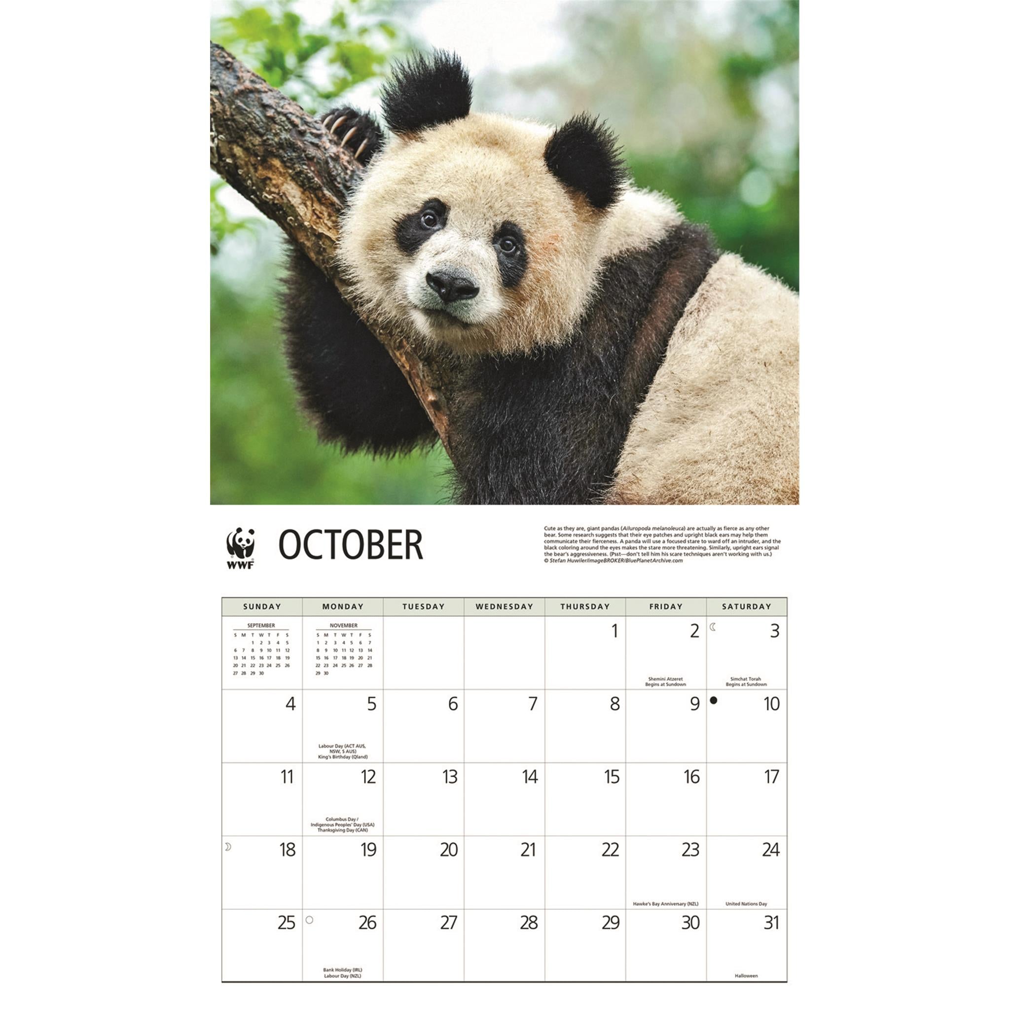 Calendrier mural 2026 du Fonds mondial pour la nature (WWF) sur les pandas géants