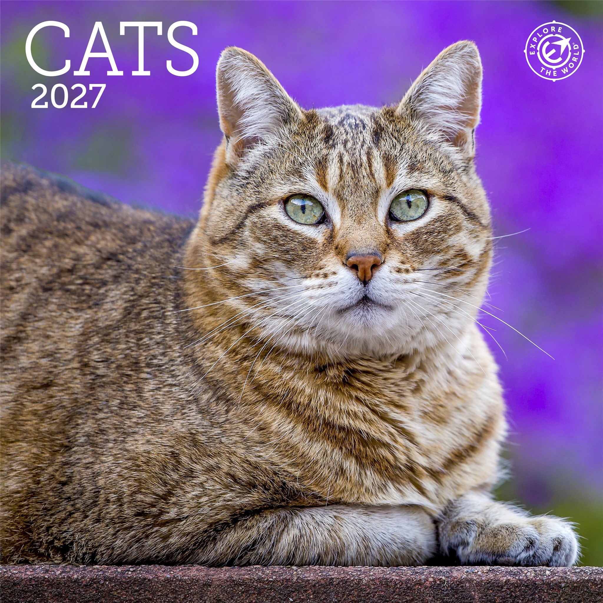 Mini calendrier Chats 2027