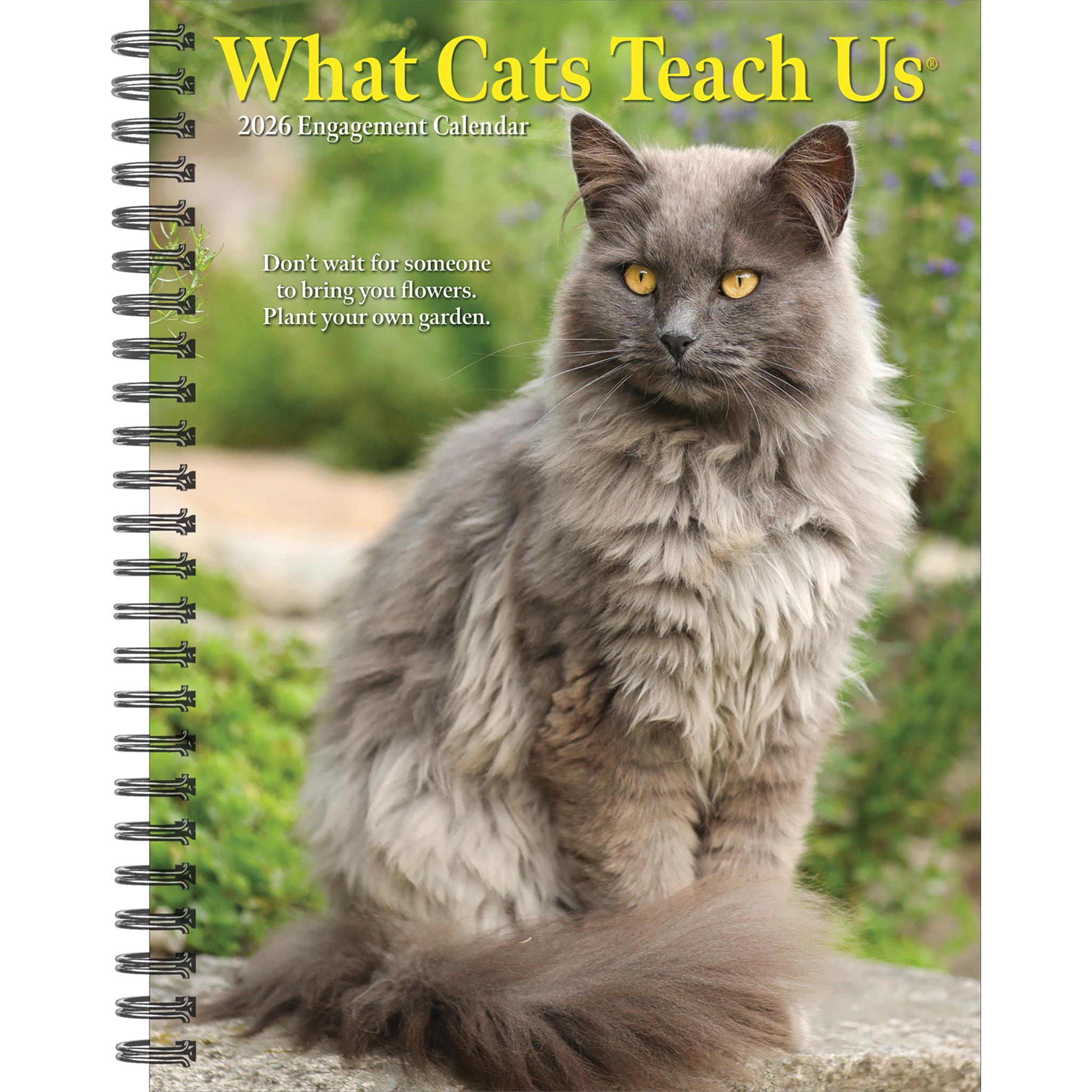 Calendrier des fiançailles 2026 de What Cats Teach Us