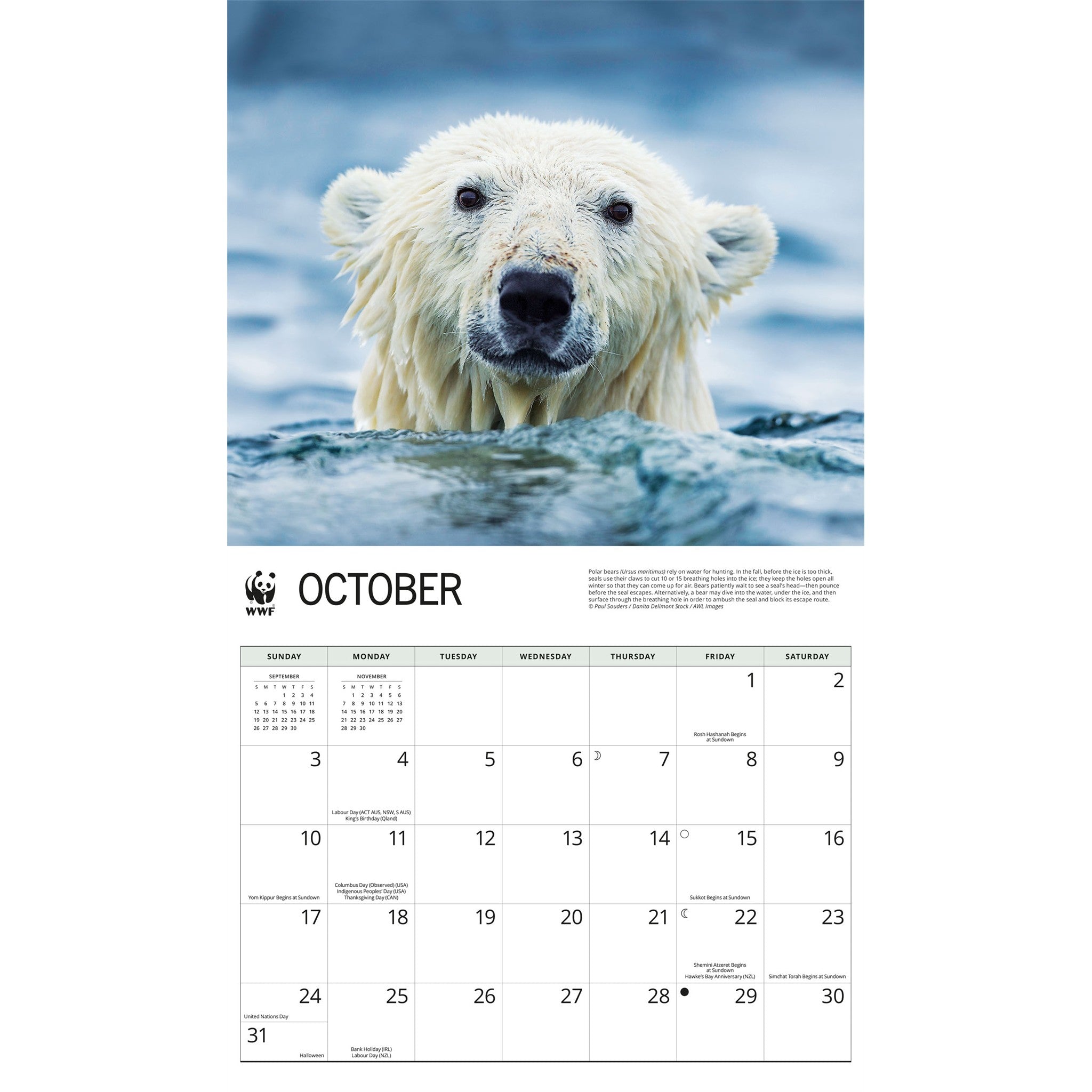 Calendrier mural Ours polaires 2027 du Fonds mondial pour la nature