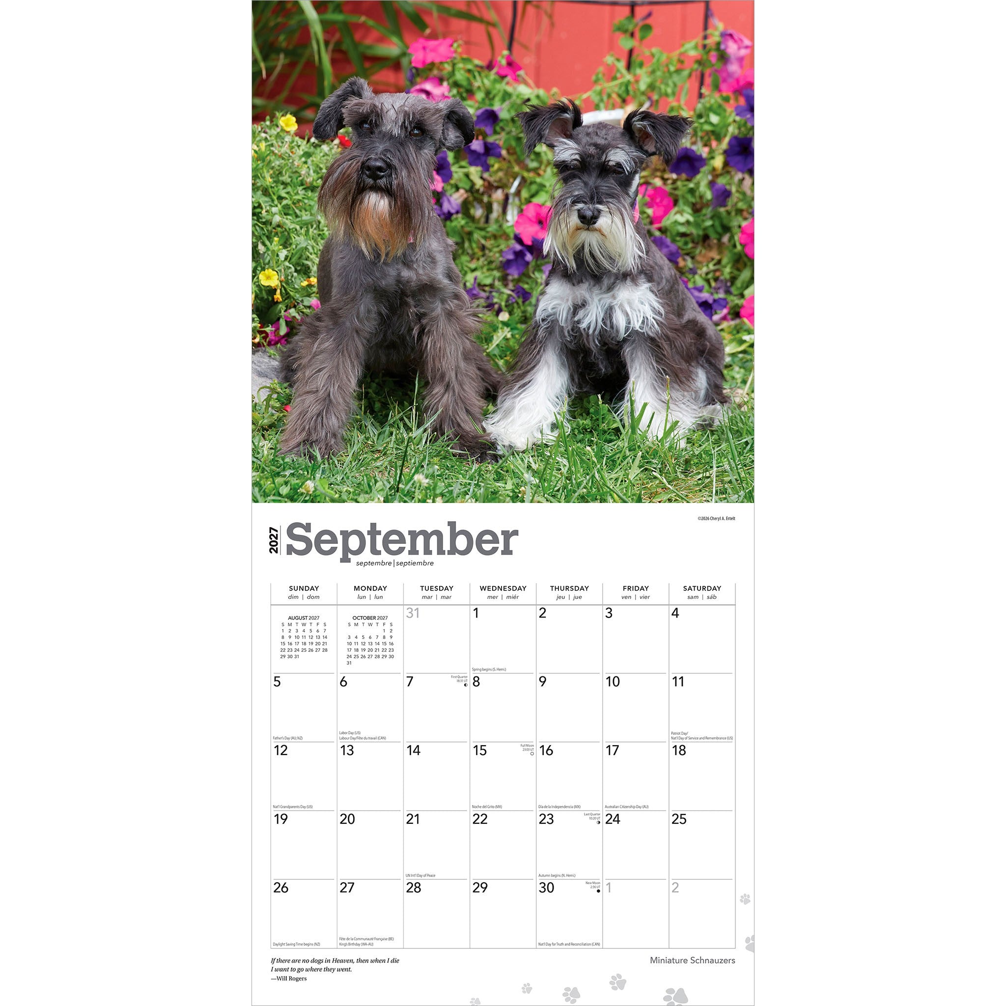 Miniature Schnauzers 2027 Wall Calendar