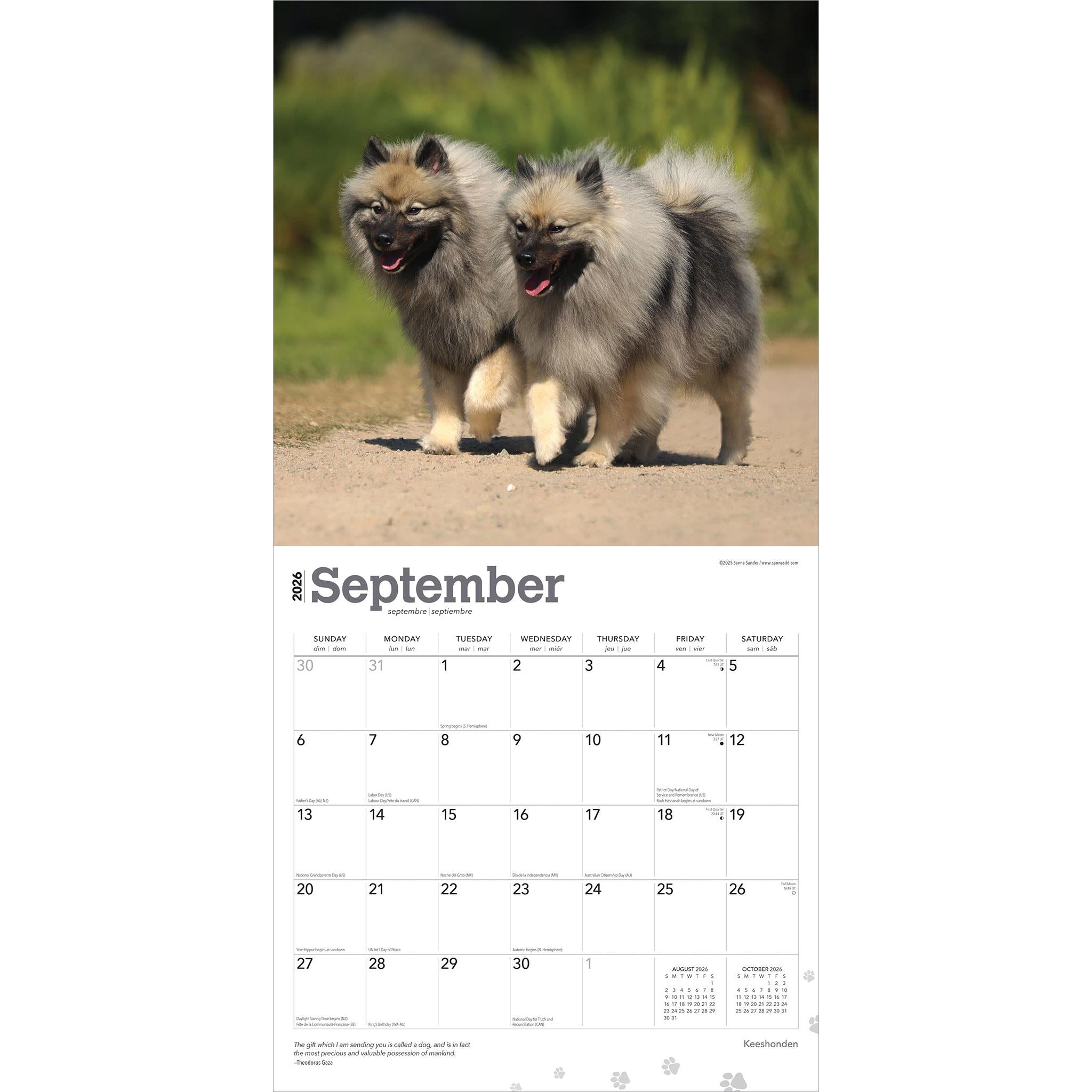 Keeshonden 2026 Wall Calendar