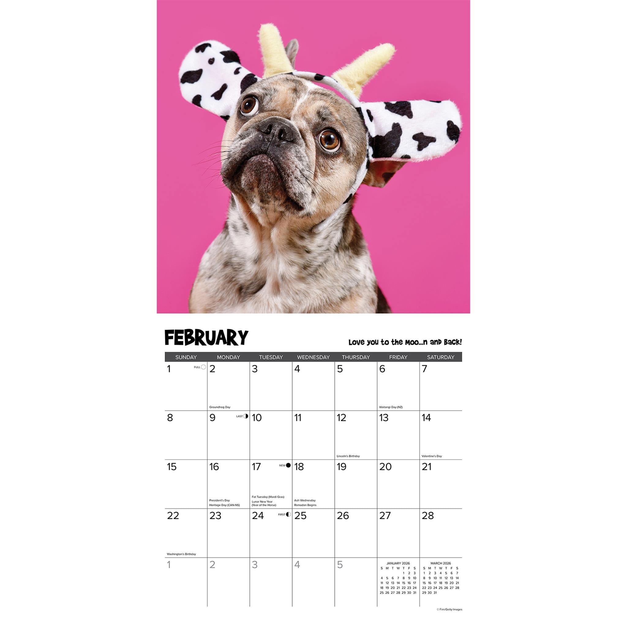 Calendrier mural Pardon My Frenchie 2026