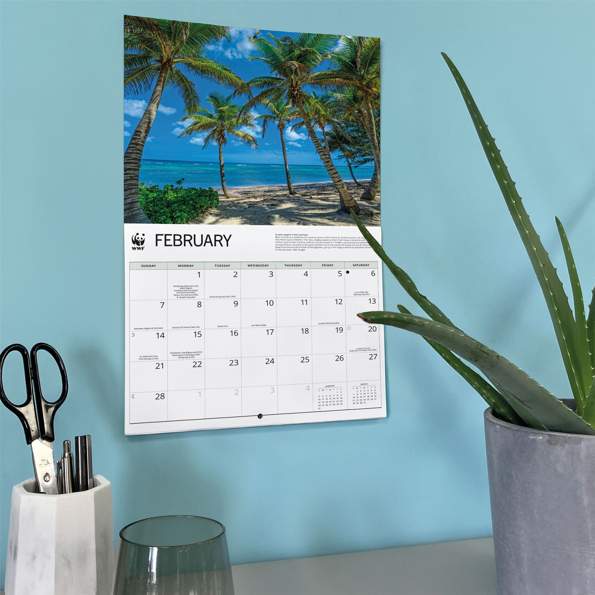 Calendrier mural 2027 WWF Îles