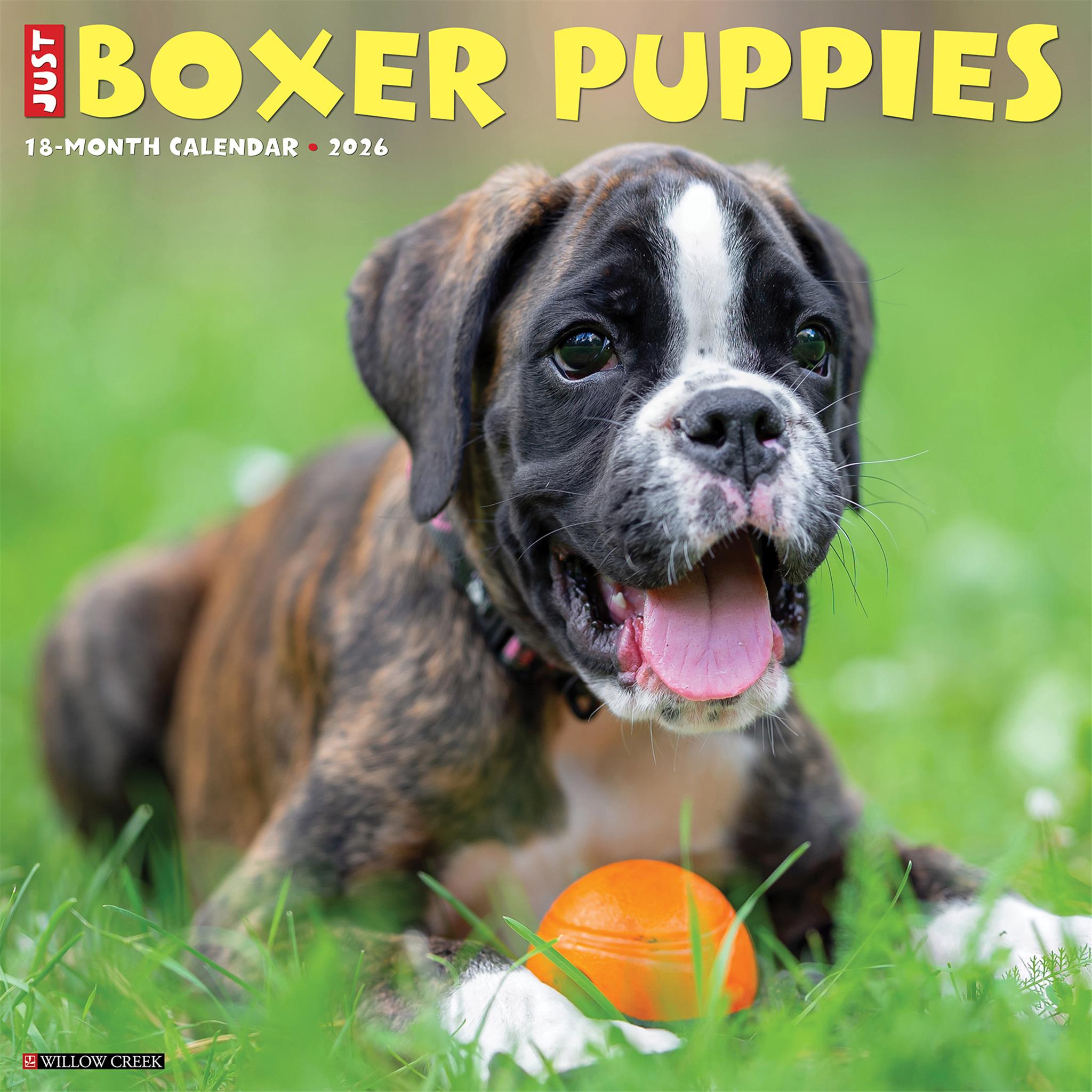 Calendrier mural 2026 « Just Boxer Puppies »