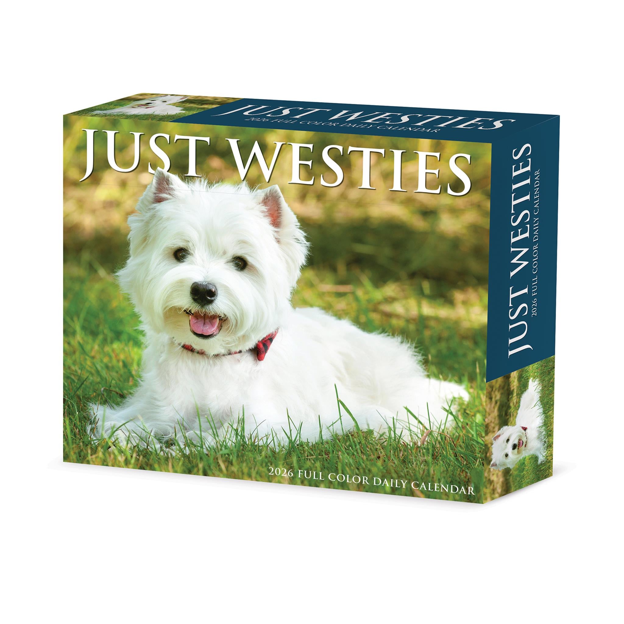 Calendrier Just Westies 2026 en boîte - Disponible uniquement en ligne