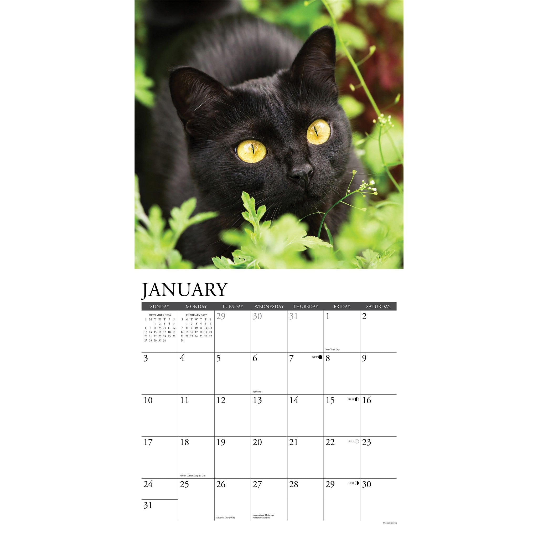 Black Cats 2027 Wall Calendar