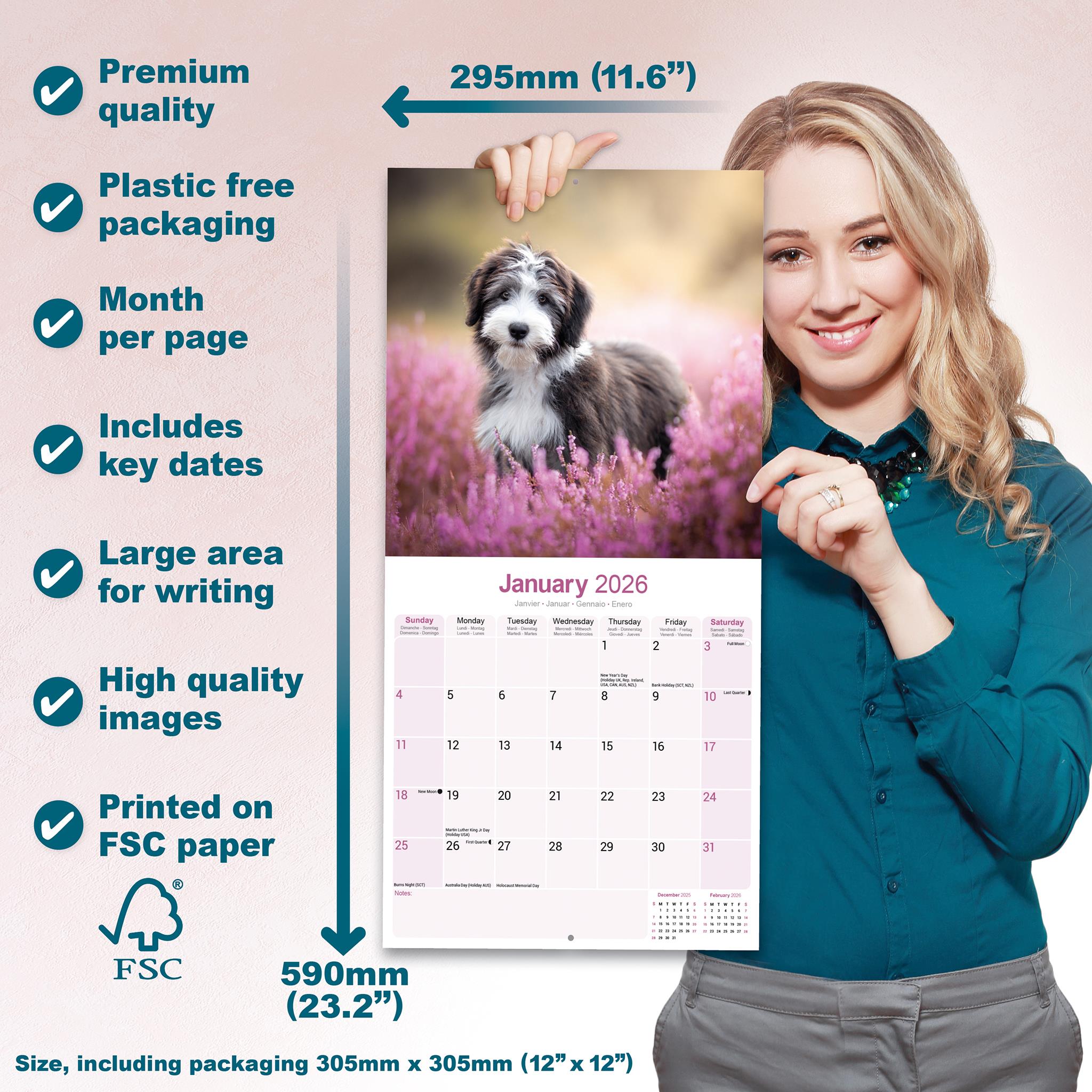 Bearded Collie Wall 2026 Calendar