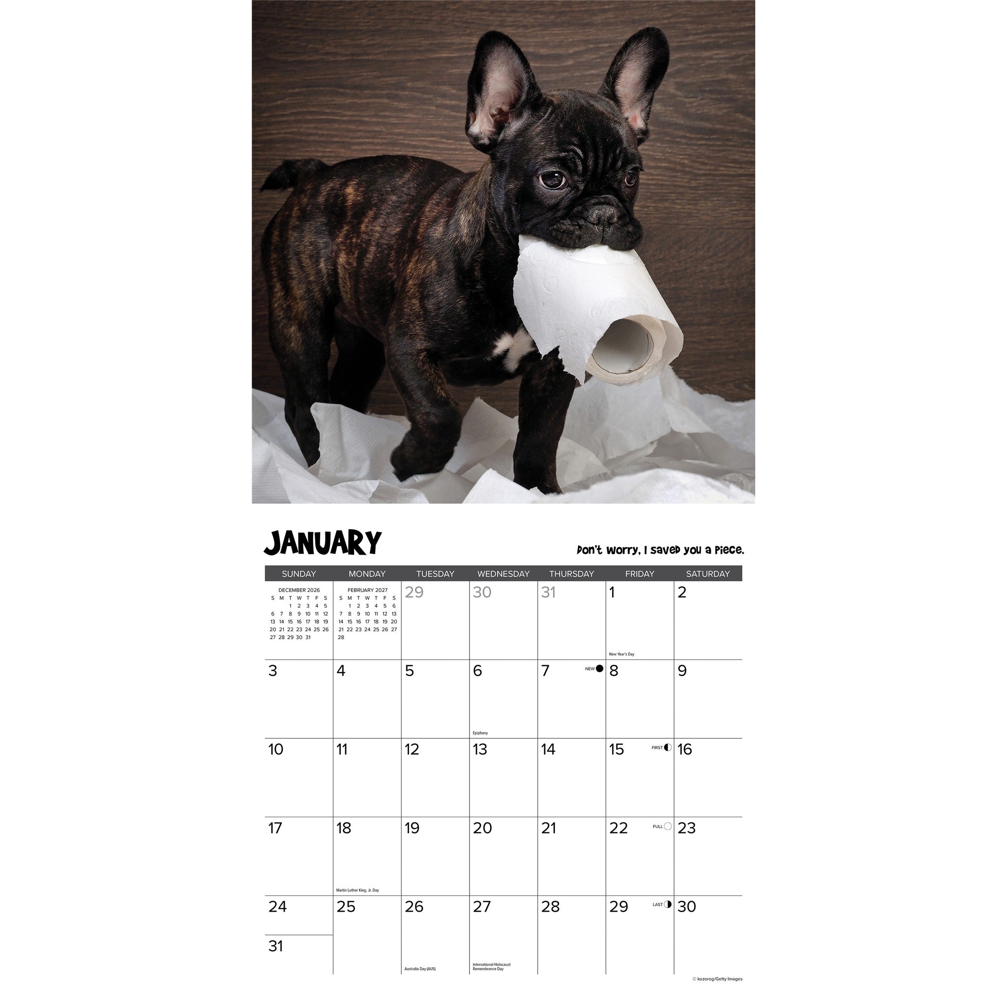 Pardon My Frenchie 2027 Wall Calendar