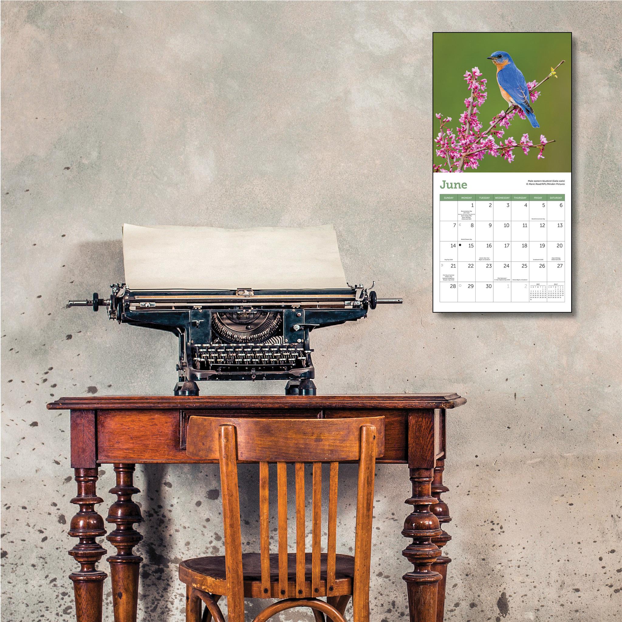 Songbirds 2026 Mini Calendar