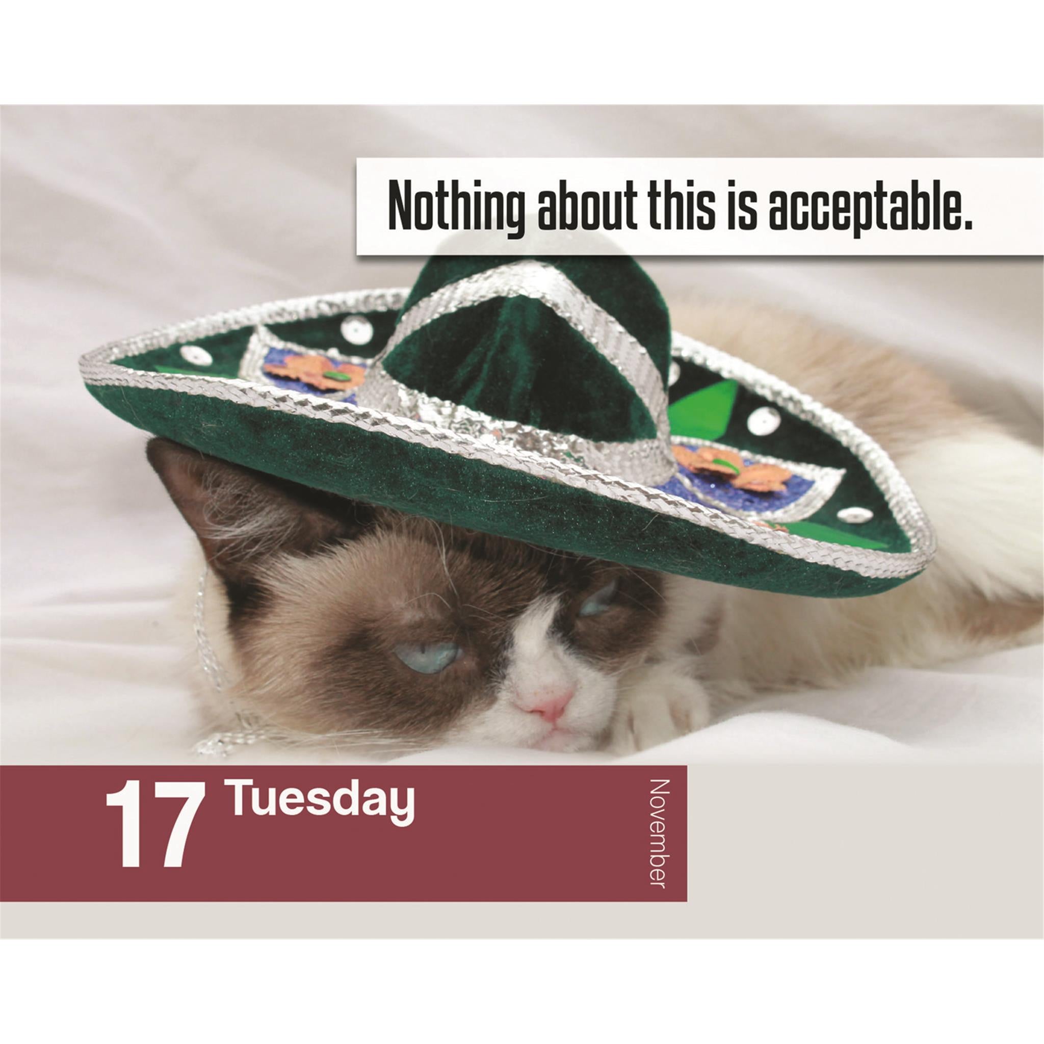 Calendrier Grumpy Cat 2026