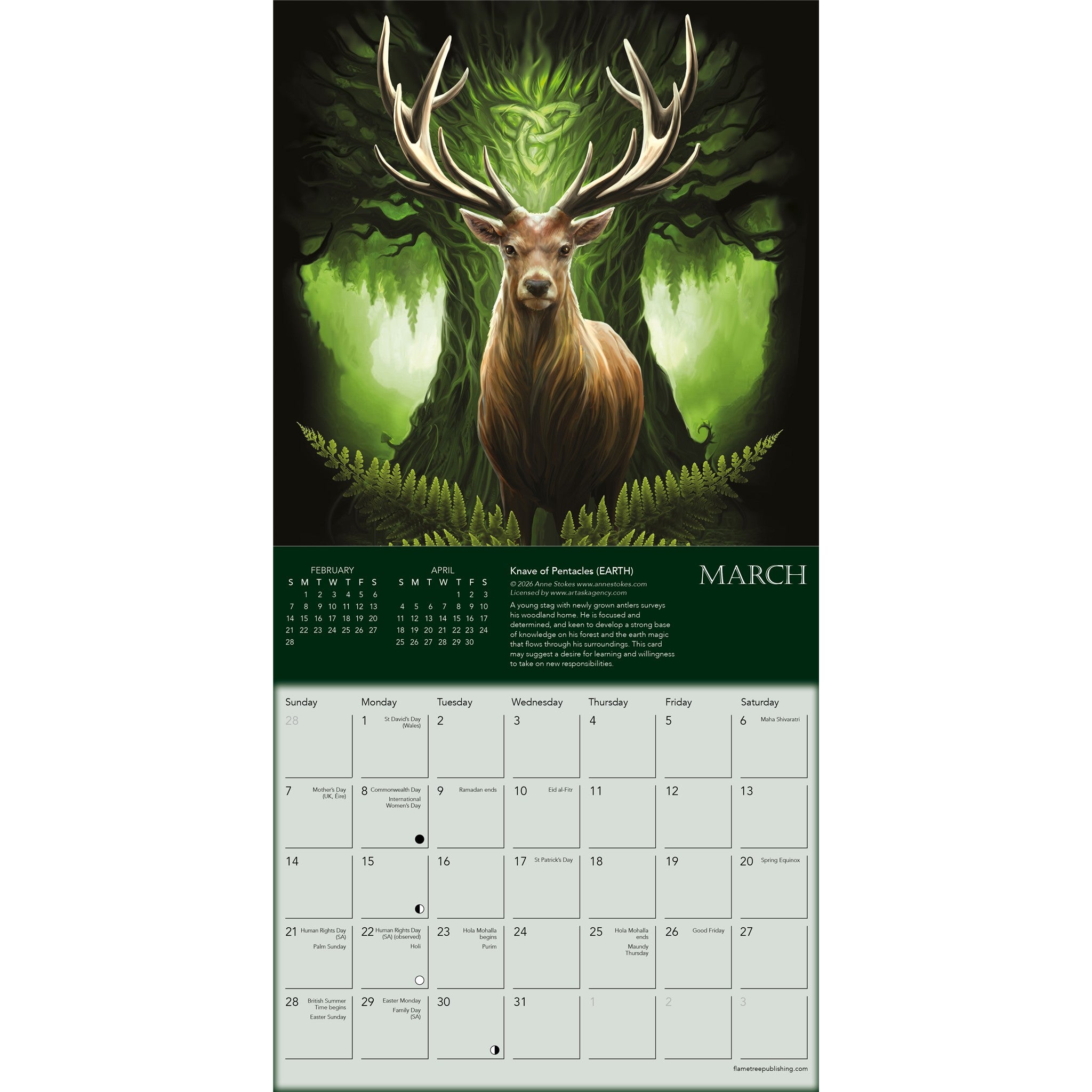 Anne Stokes: Elementals 2027 Mini Calendar