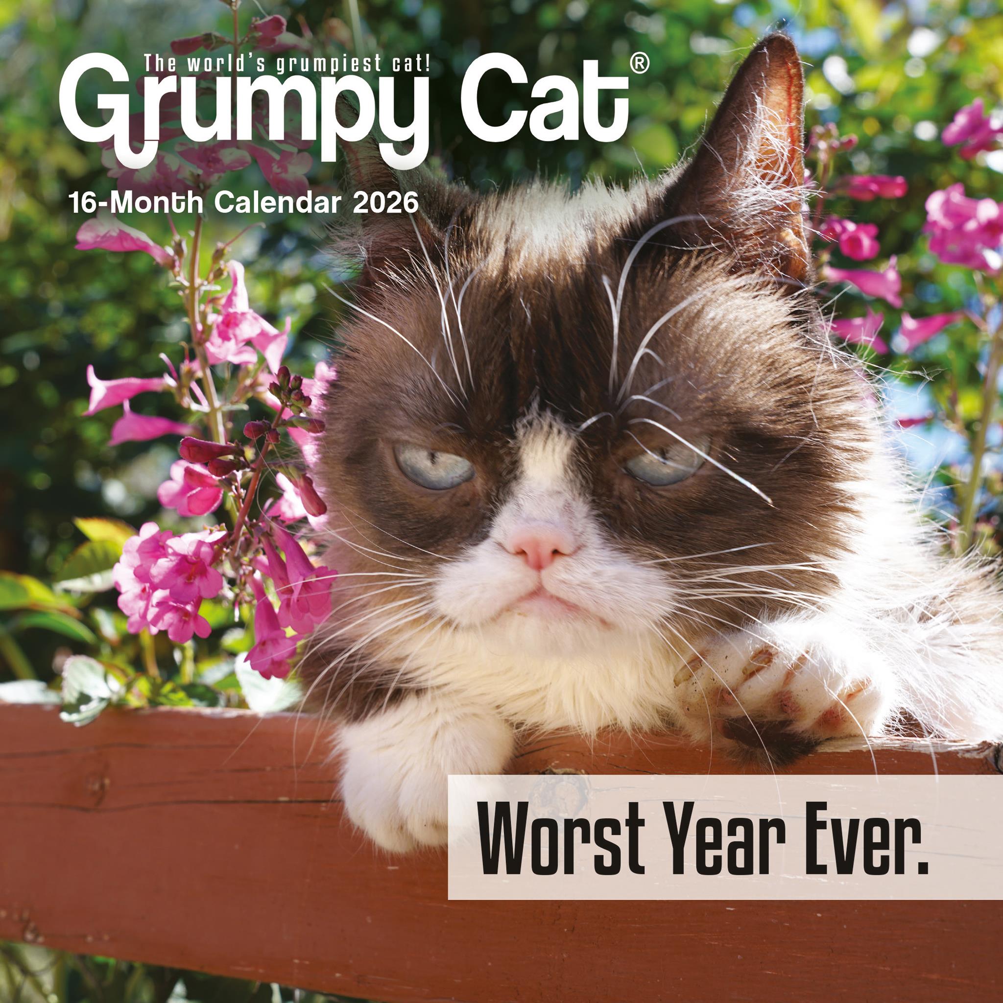 Mini calendrier Grumpy Cat 2026