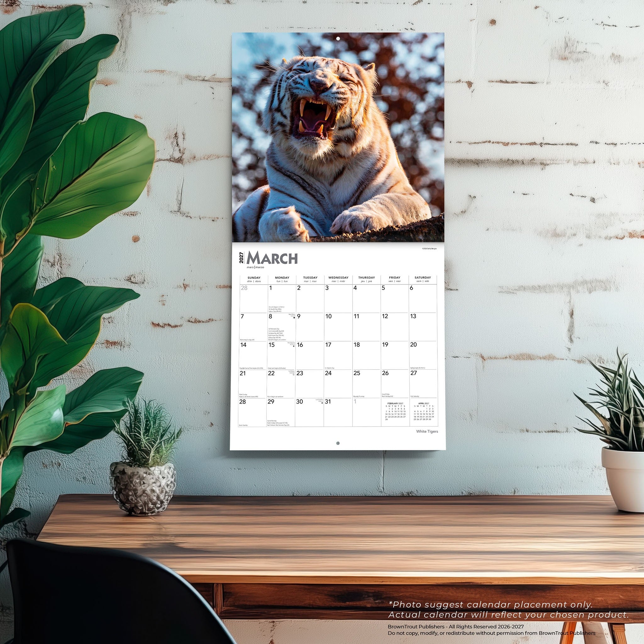 White Tigers 2027 Wall Calendar