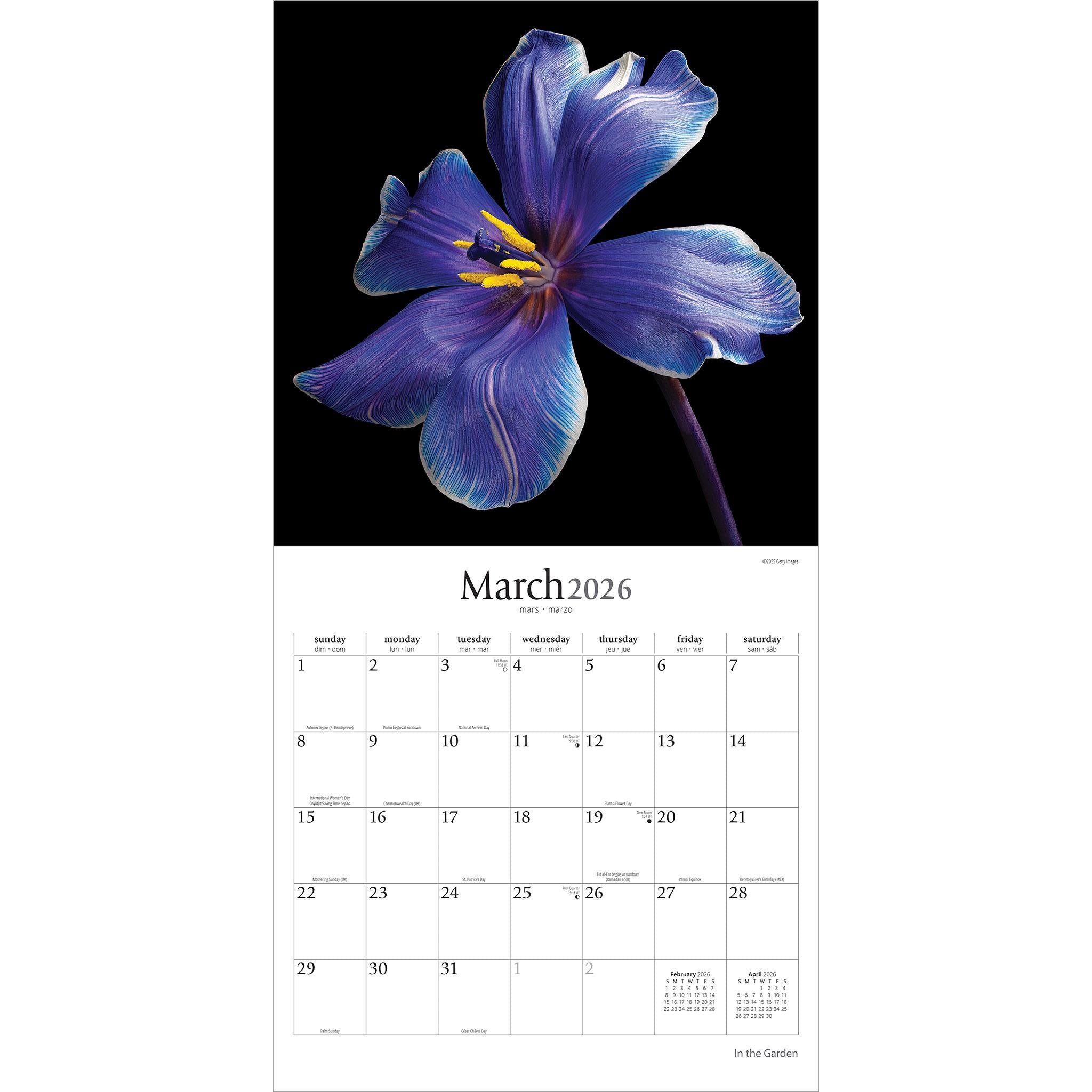 In The Garden 2026 Wall Calendar