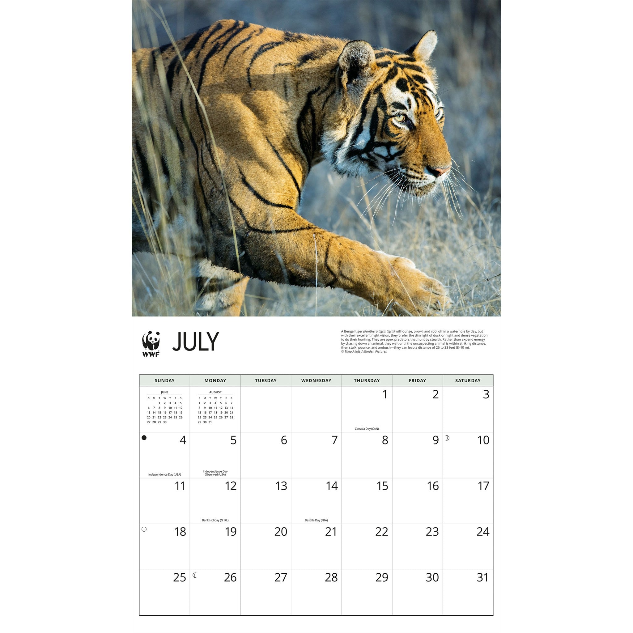 World Wildlife Fund Tigers 2027 Wall Calendar