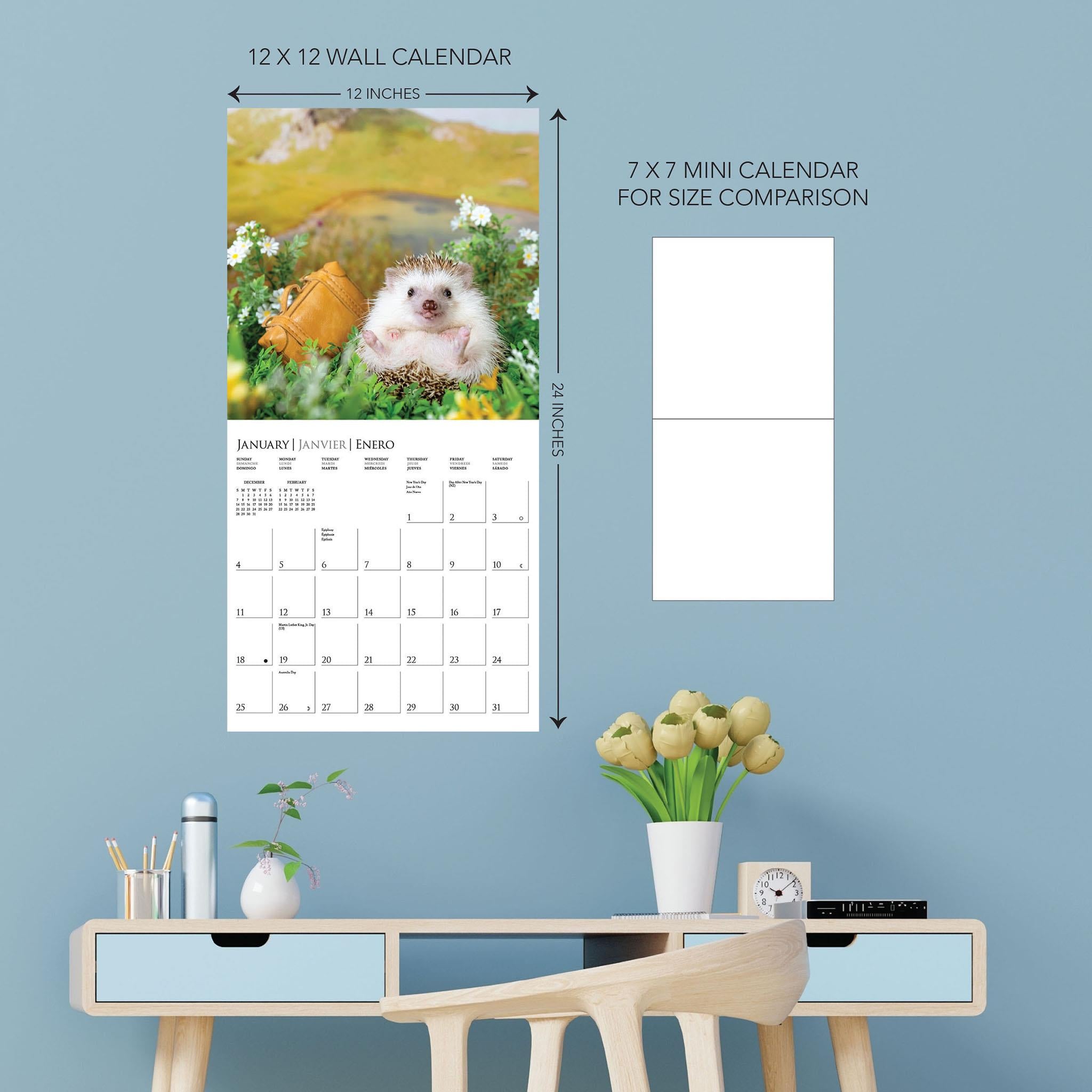 Happiest Hedgehogs 2026 Wall Calendar - Online Only