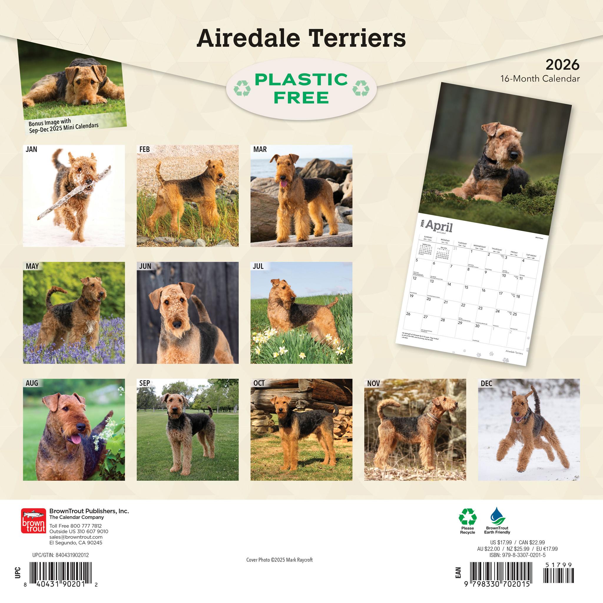 Calendrier mural Airedale Terriers 2026