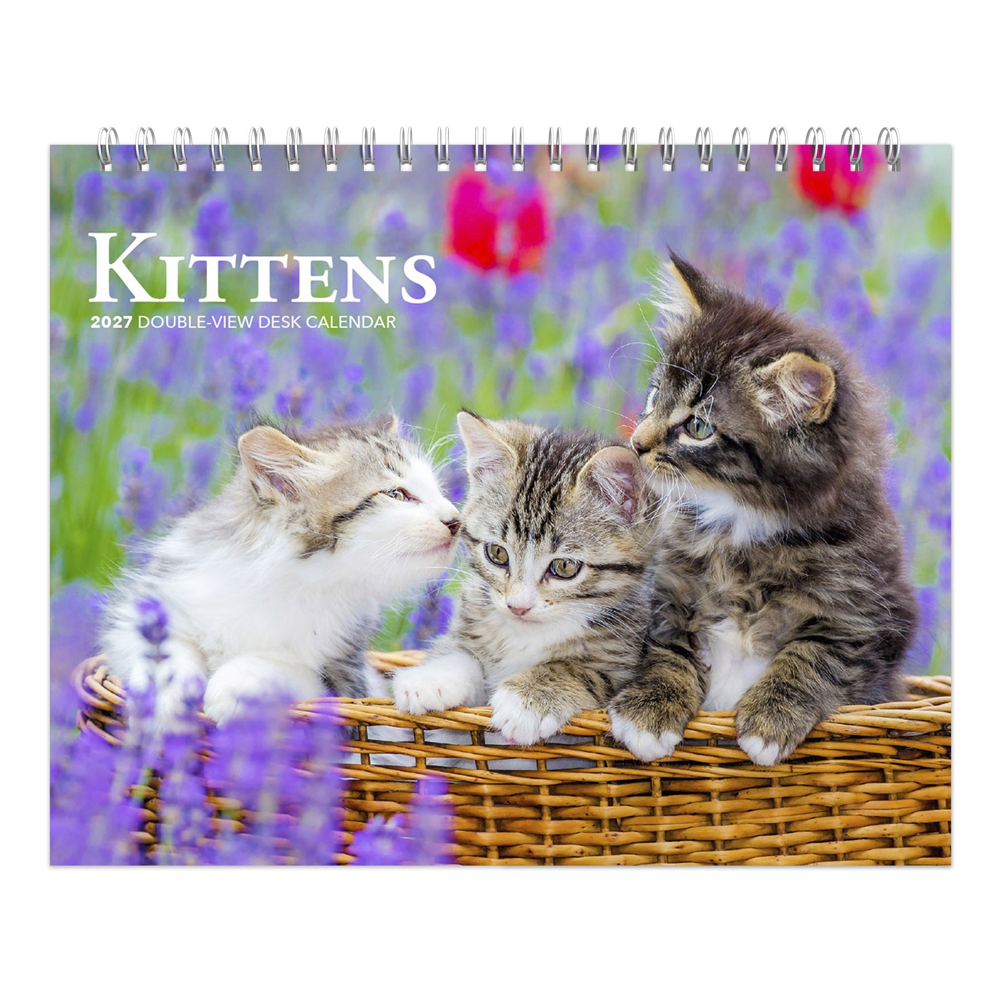 Kittens 2027 Easel Calendar