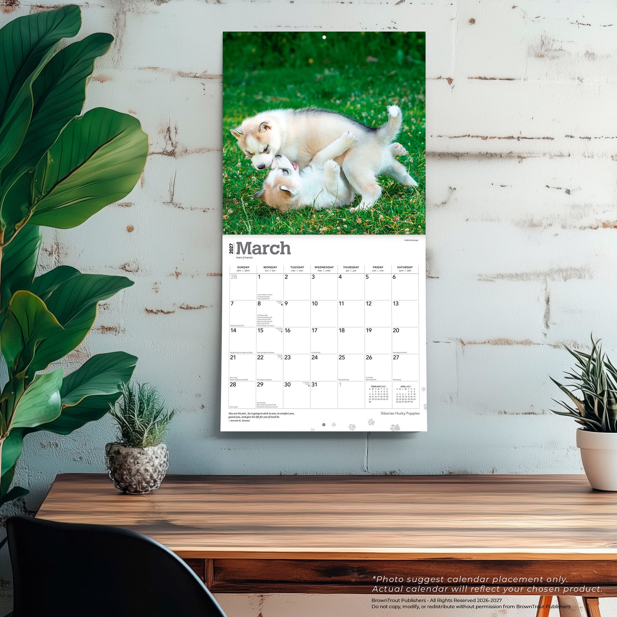 Siberian Husky Puppies 2027 Wall Calendar