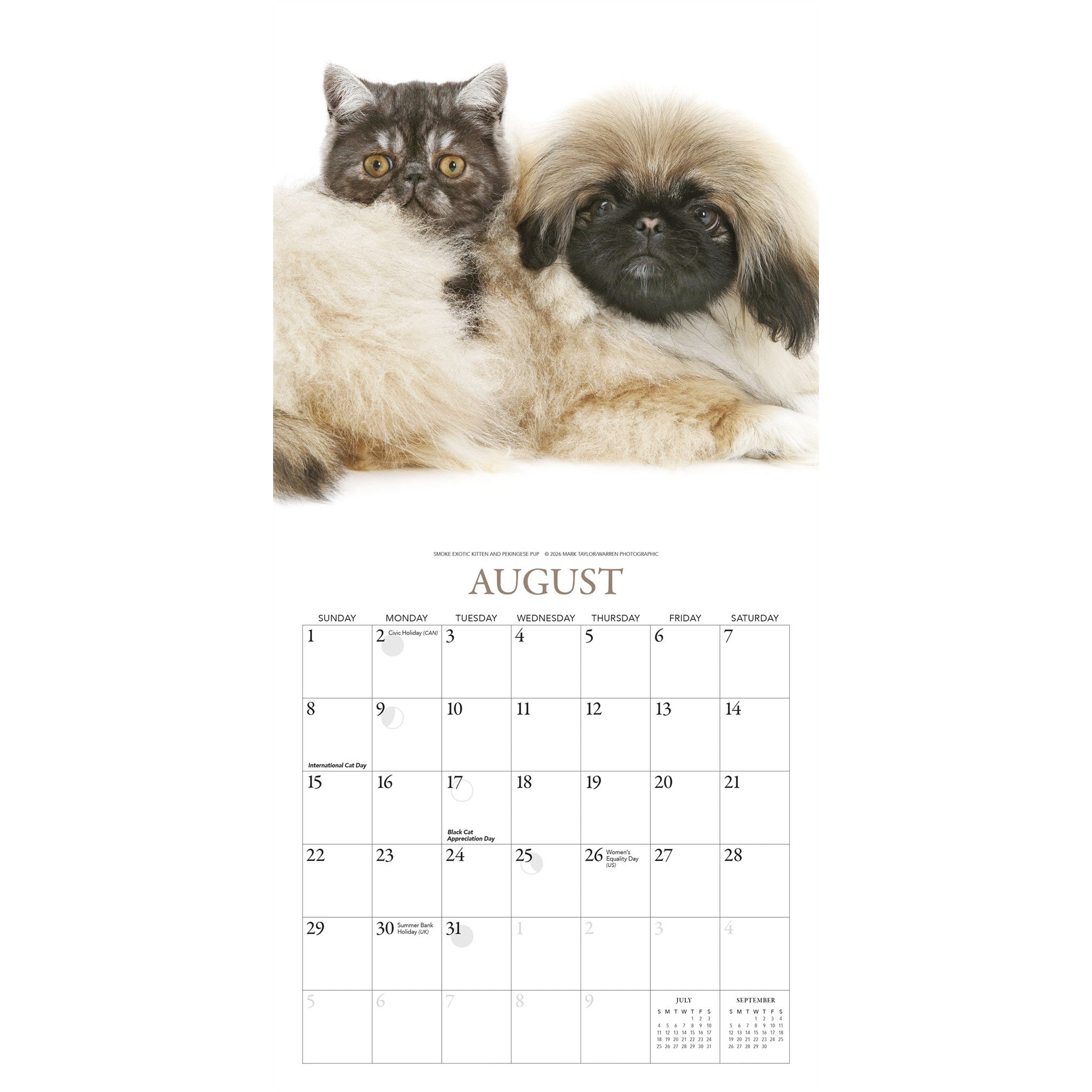 Mini calendrier Chatons et amis 2027