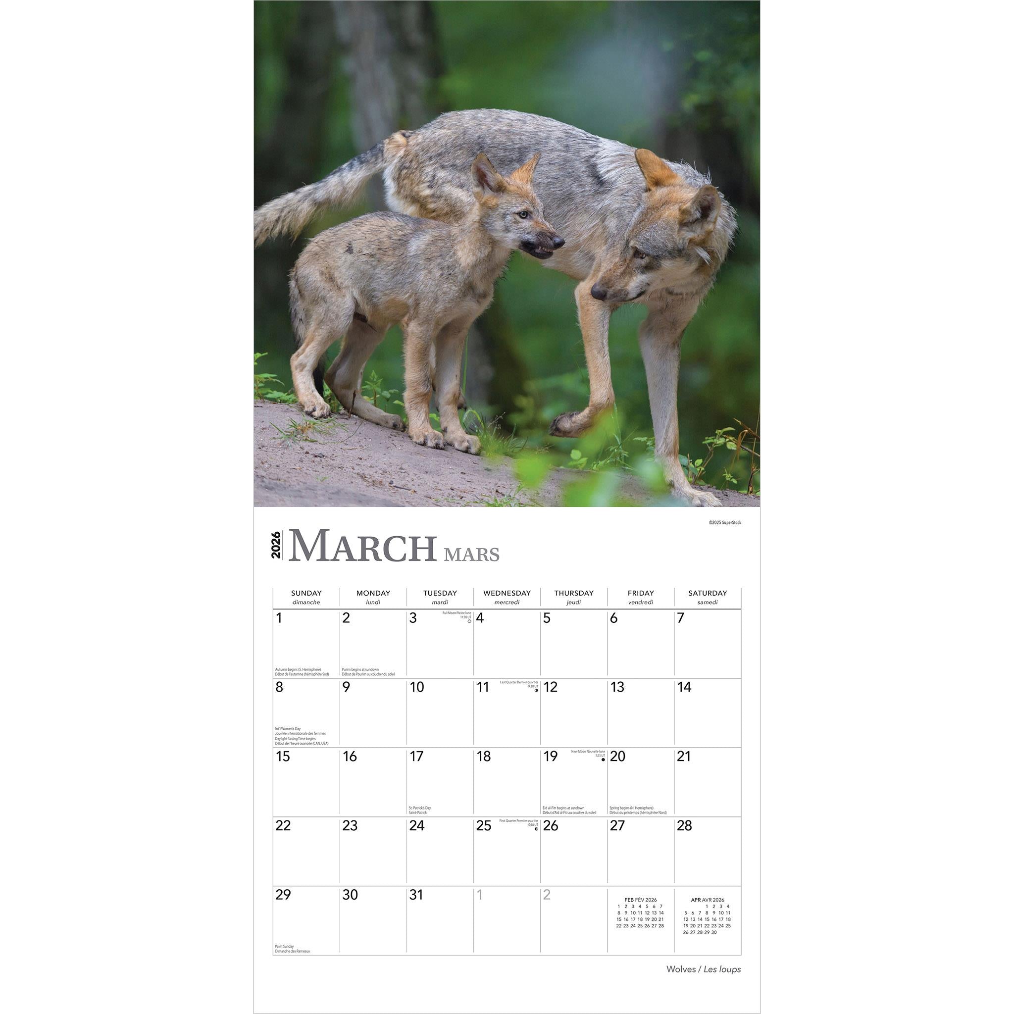 Calendrier mural Les Loups 2026 (français)