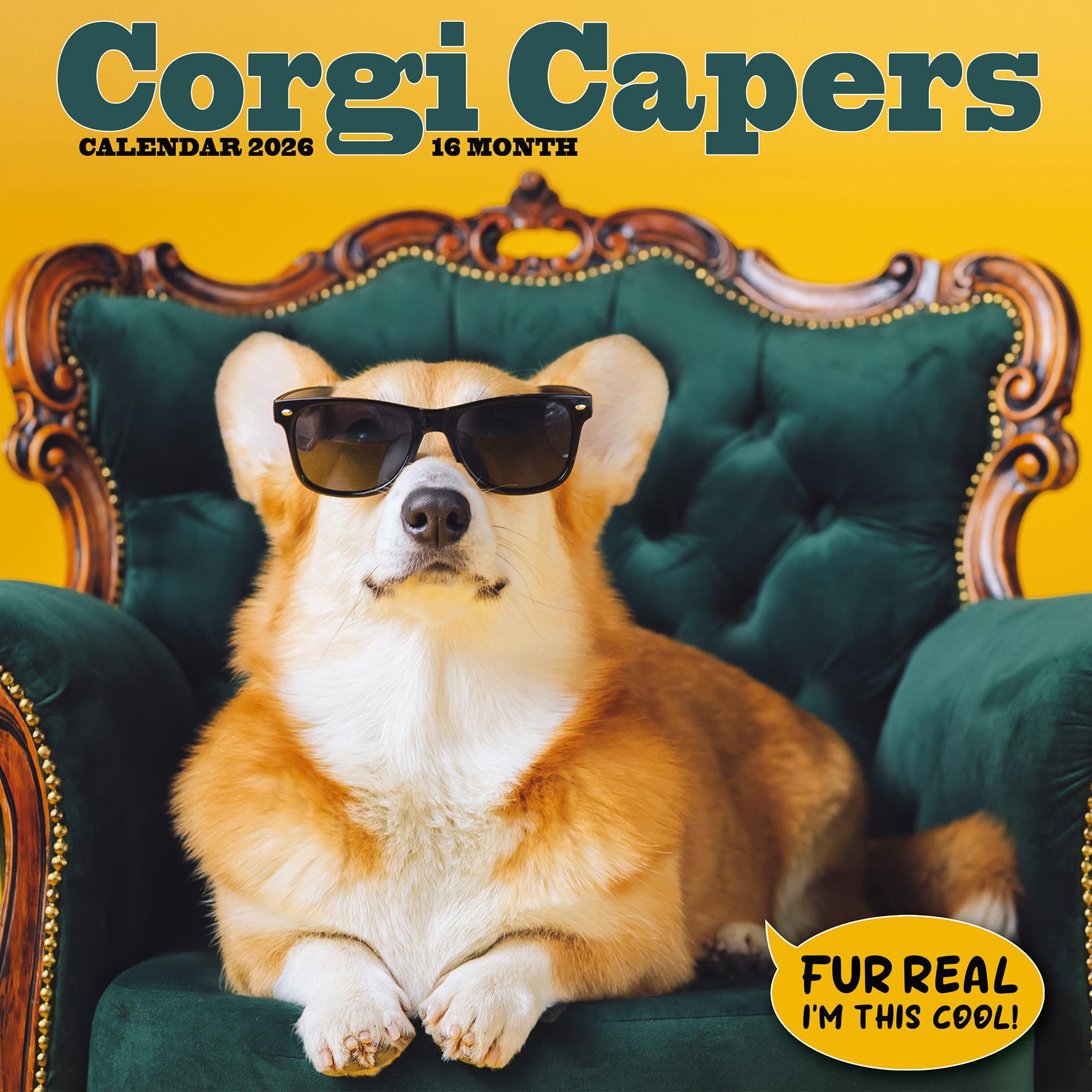Calendrier mural Corgi Capers 2026