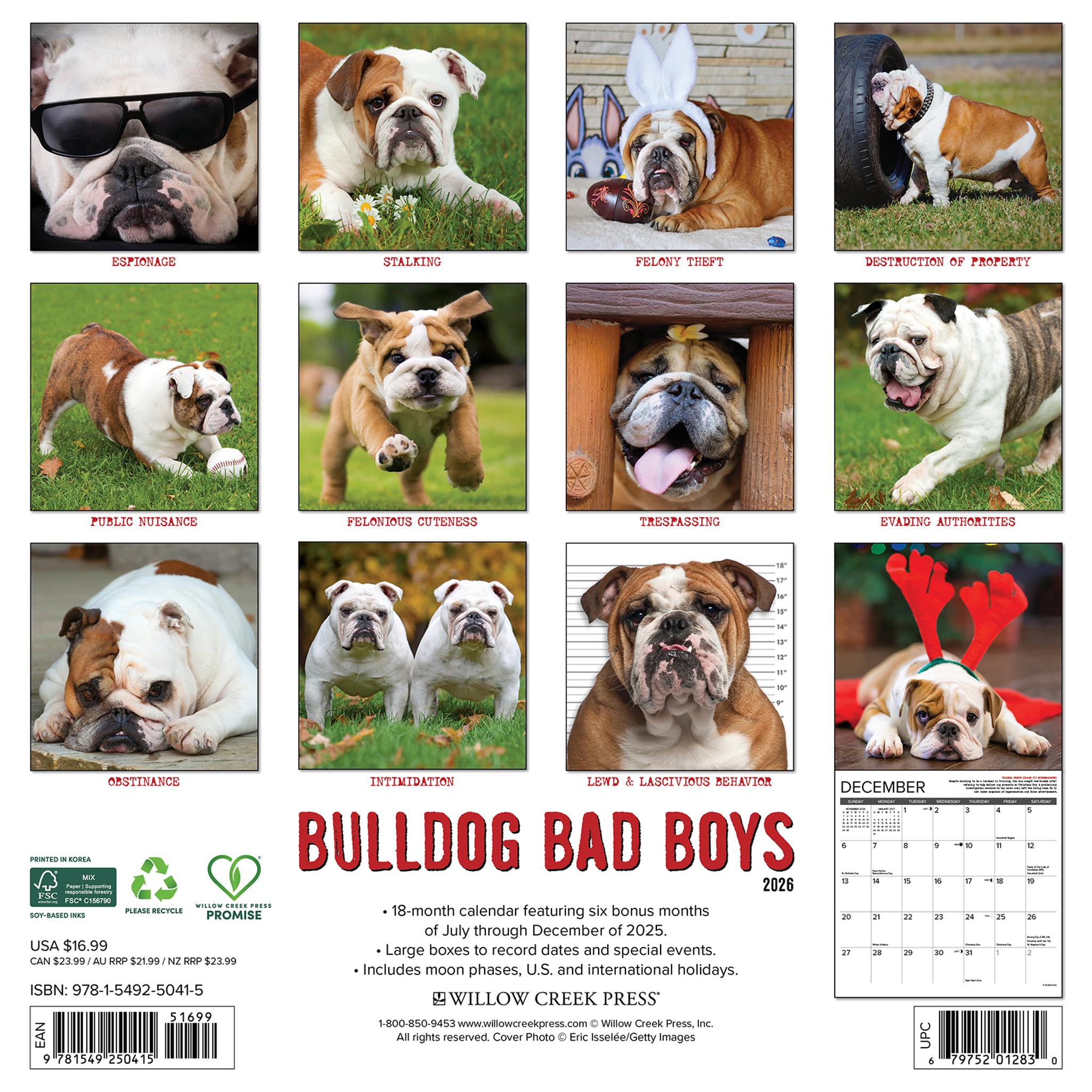 Calendrier mural Bulldog Bad Boys 2026