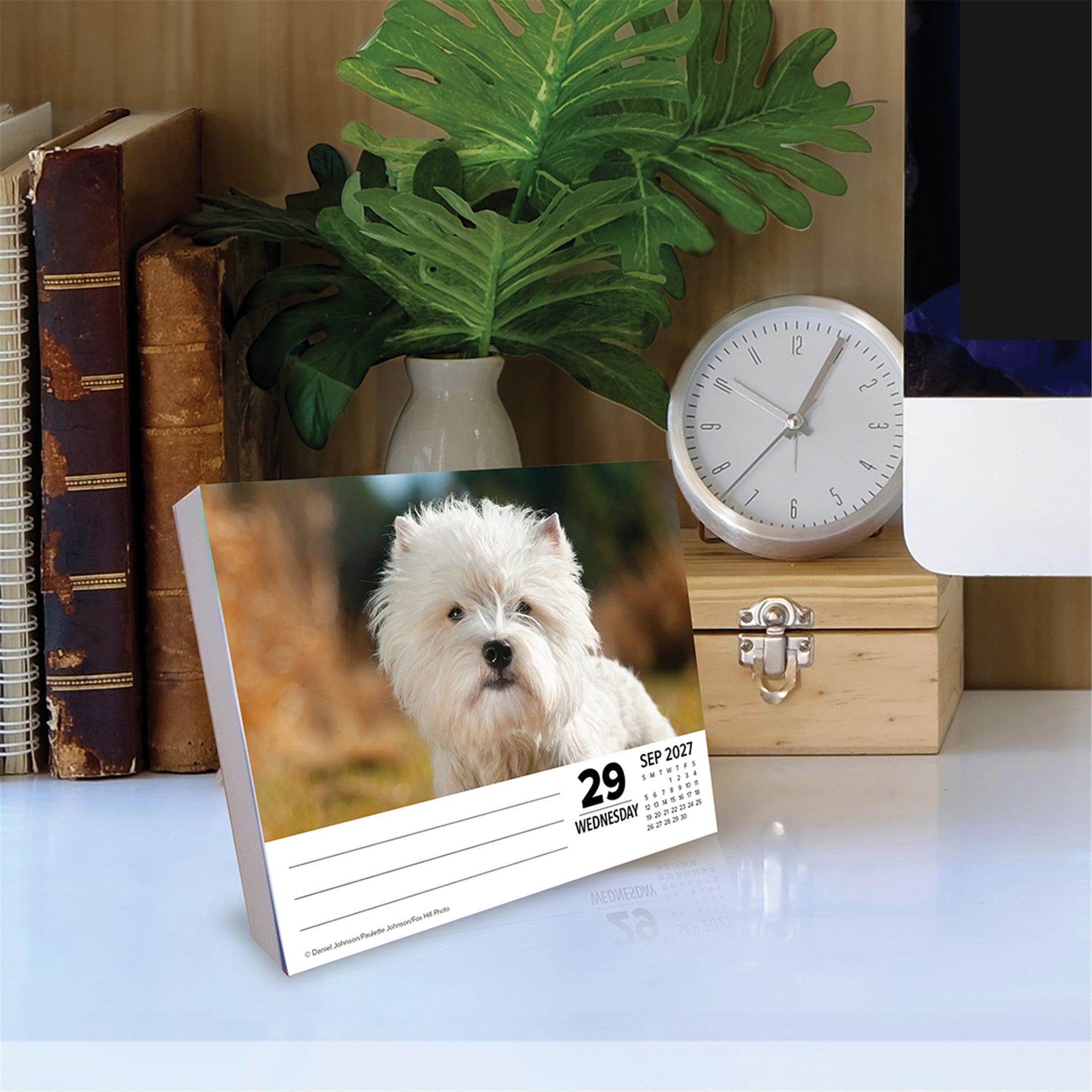 Westies 2027 Box Calendar - Online Only
